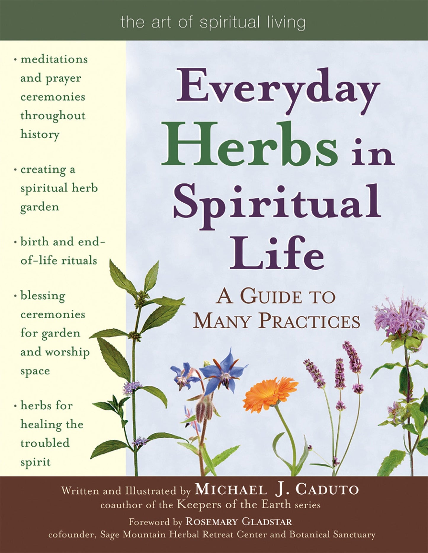 Cover image for Everyday Herbs in Spiritual Life ISBN 9781683360513