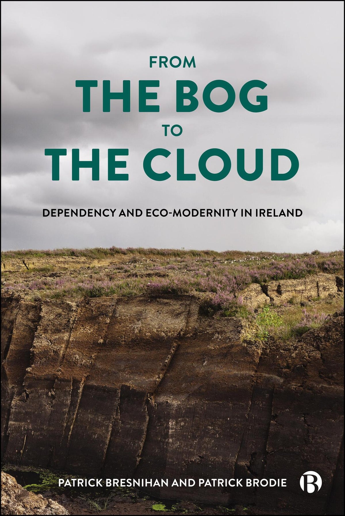 Cover image for From the Bog to the Cloud ISBN 9781529241945