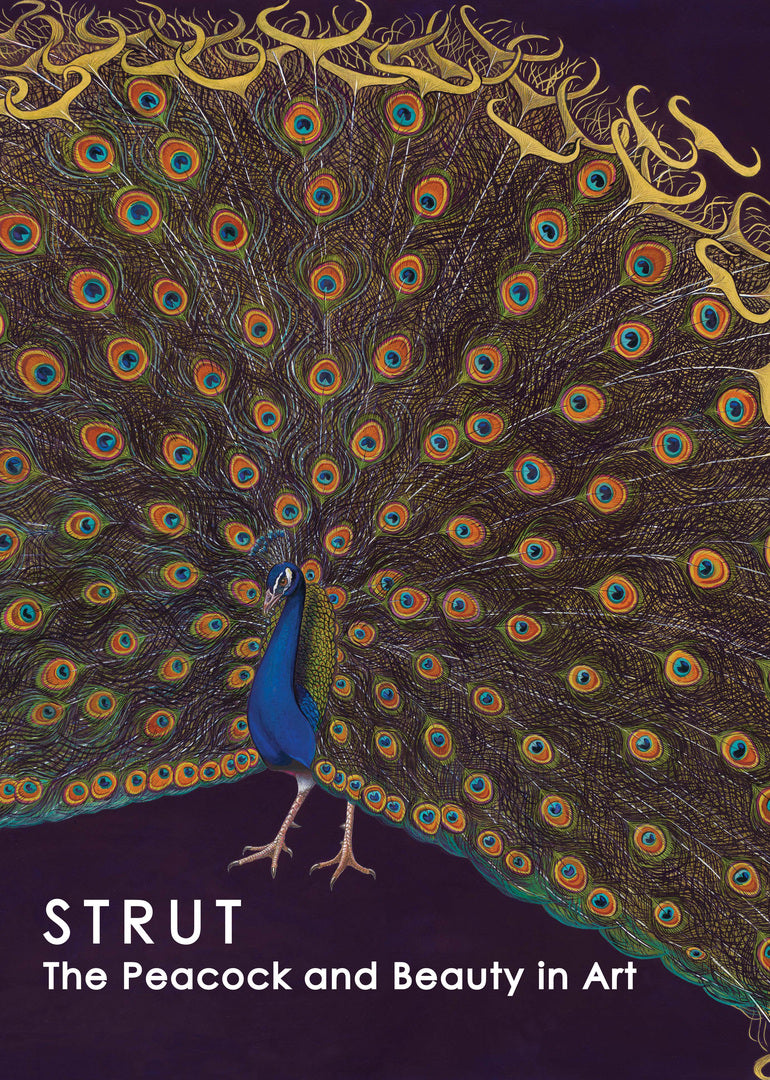 Cover image for Strut ISBN 9780943651453