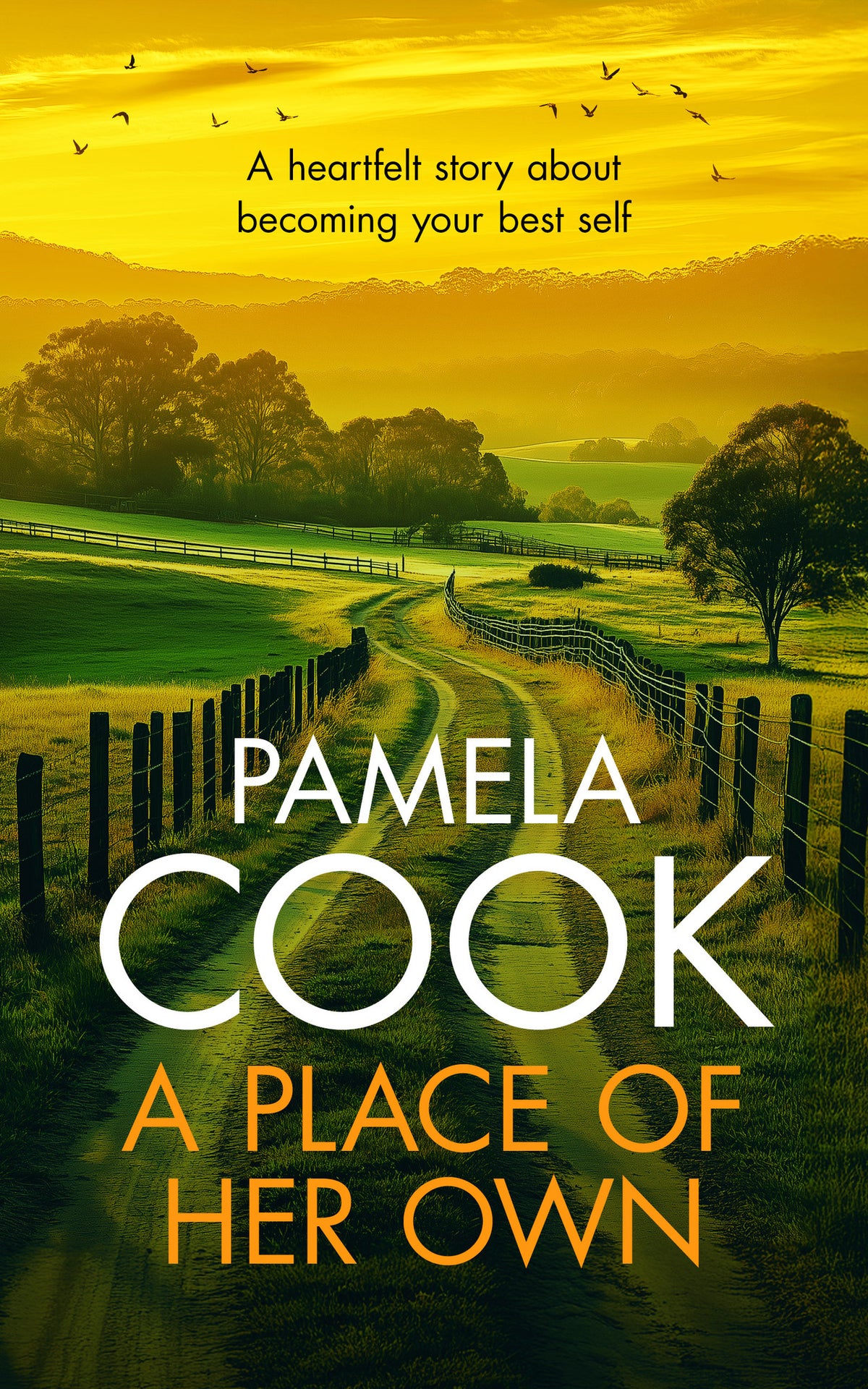 Cover image for A Place of Her Own ISBN 9781036709358