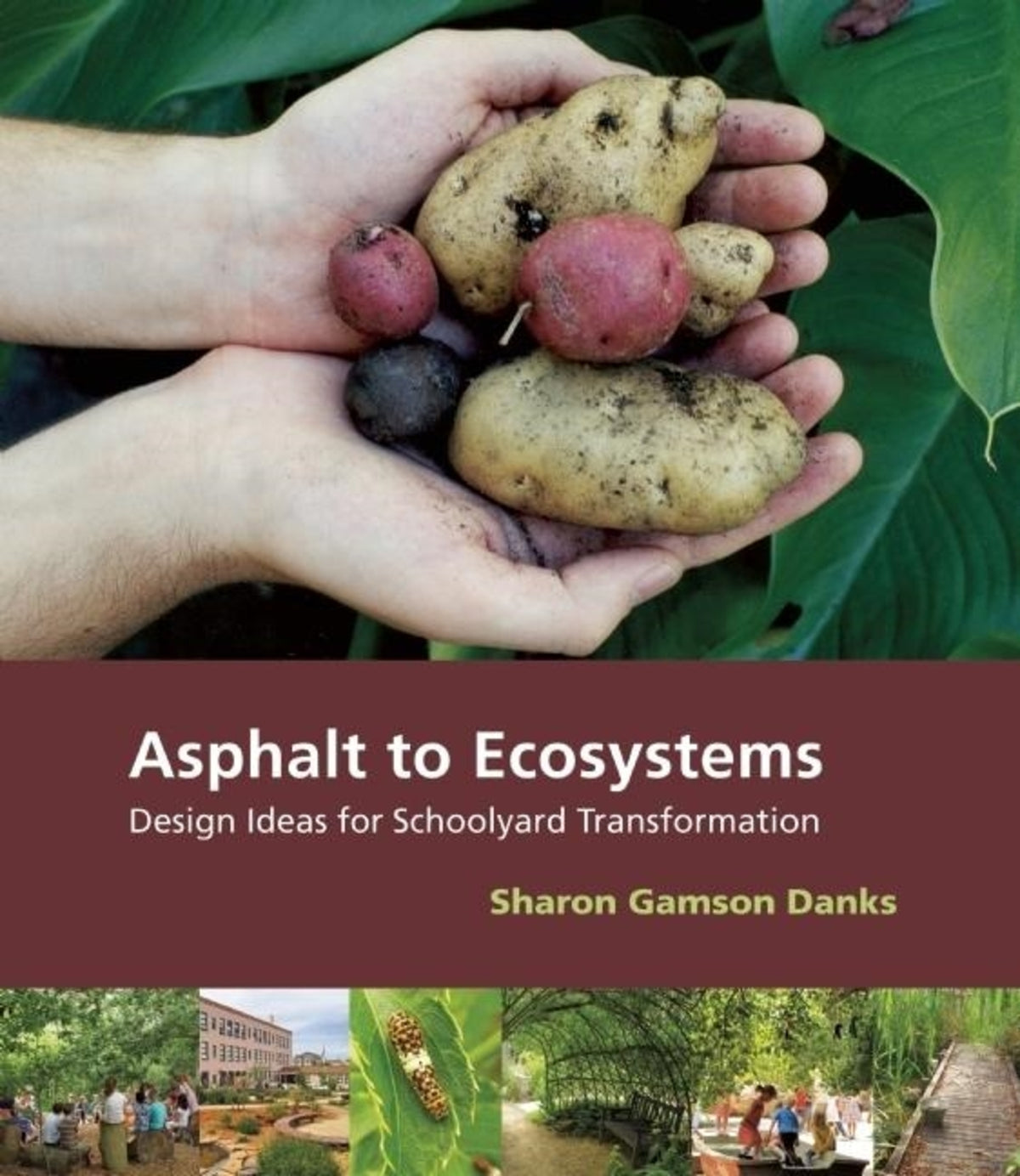 Cover image for Asphalt to Ecosystems ISBN 9780976605485