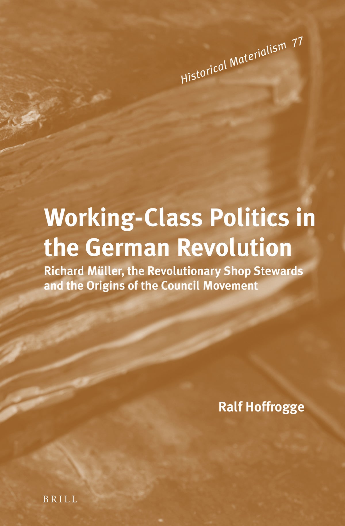 Cover image for Working-Class Politics in the German Revolution ISBN 9789004219212