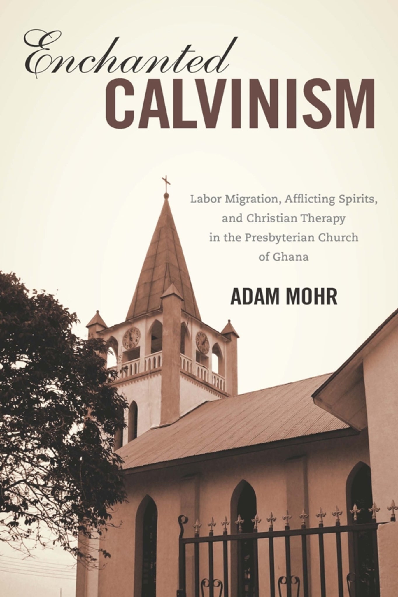 Cover image for Enchanted Calvinism ISBN 9781580464628