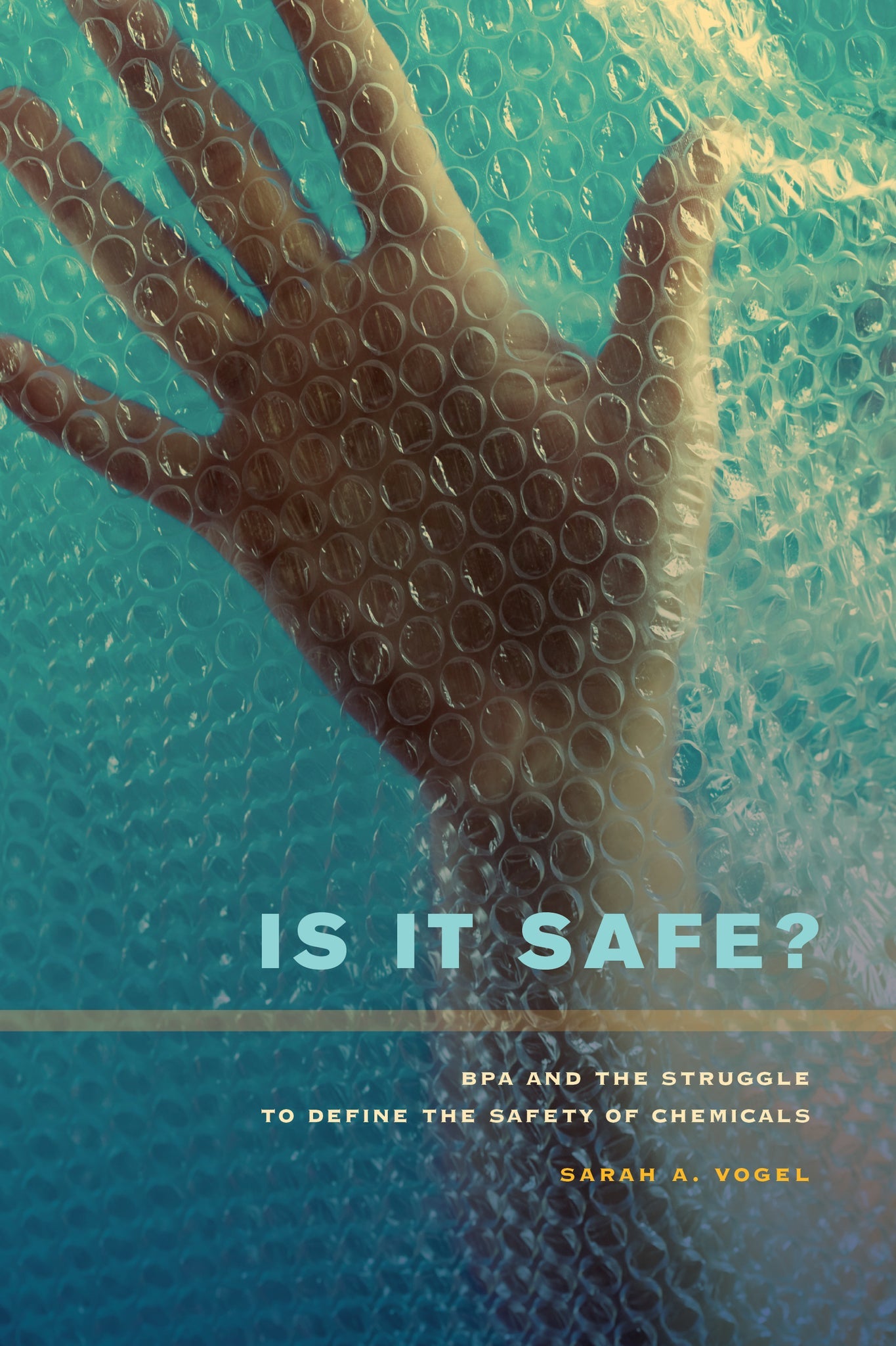 Cover image for Is It Safe? ISBN 9780520954205
