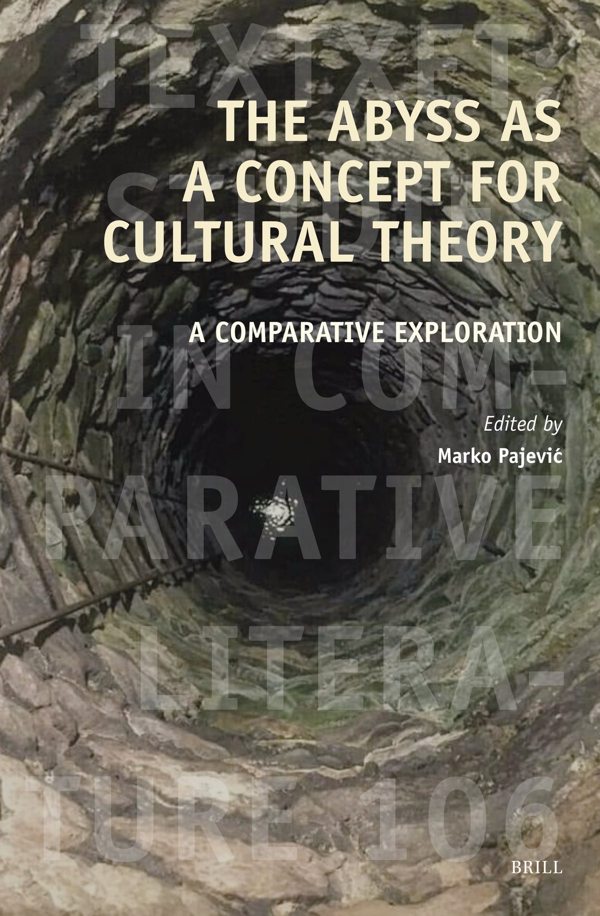 The Abyss as a Concept for Cultural Theory