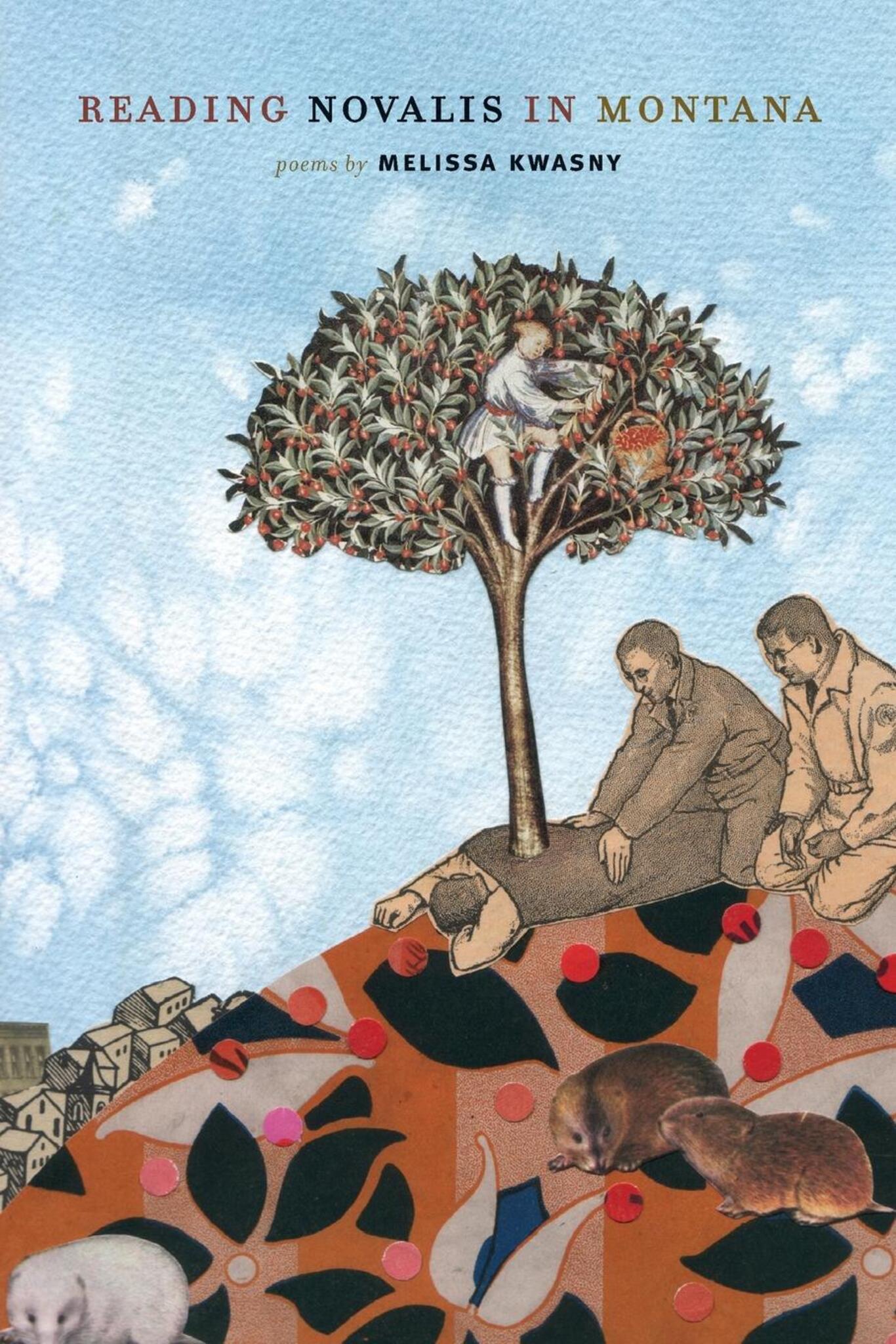 Cover image for Reading Novalis in Montana ISBN 9781571314291
