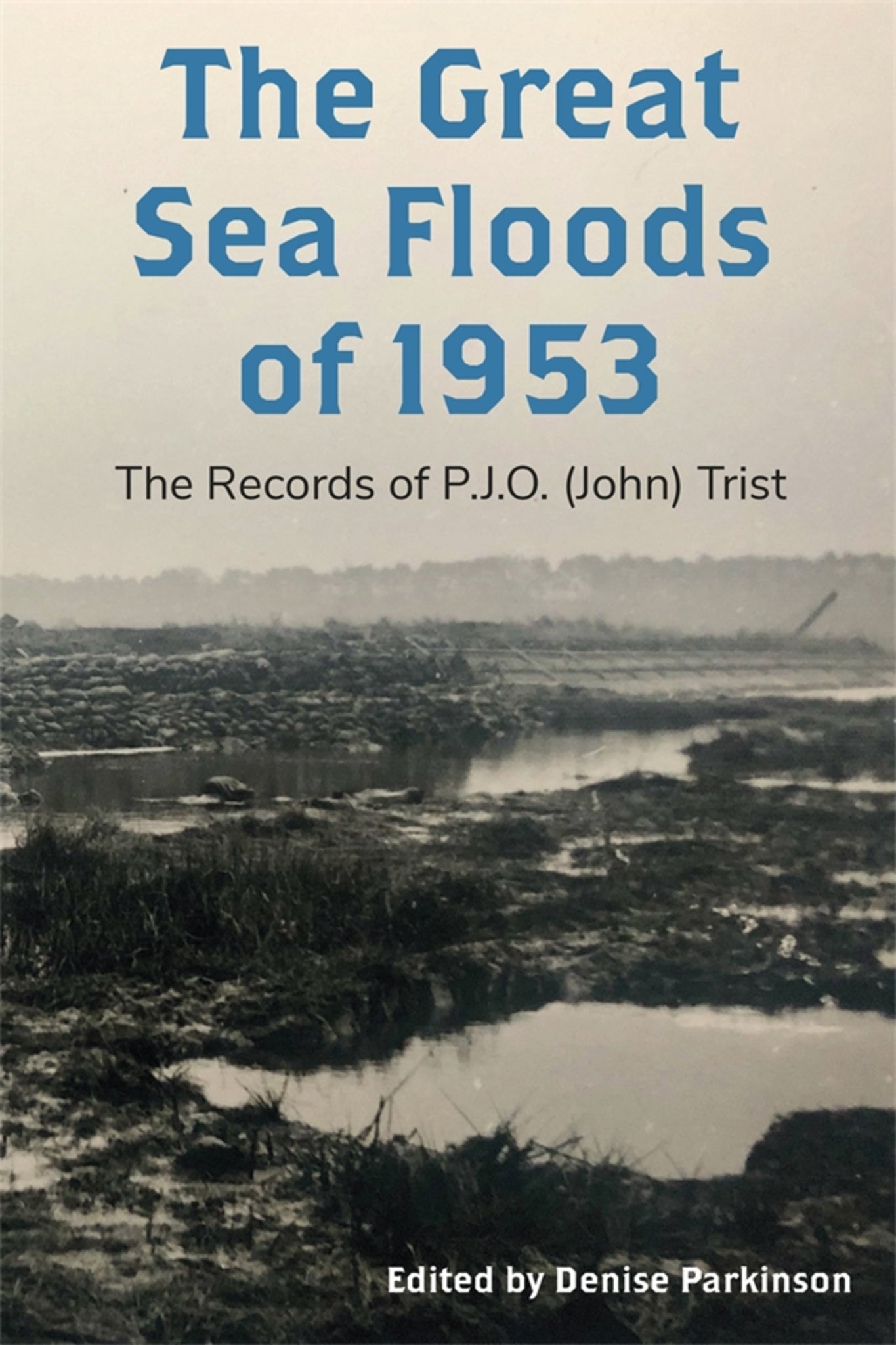 Cover image for The Great Sea Floods of 1953 ISBN 9781837651764