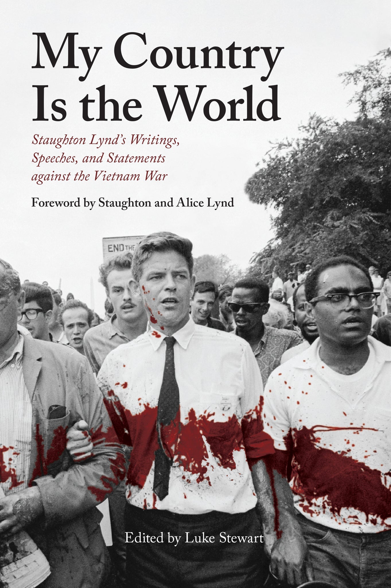 Cover image for My Country Is the World ISBN 9781642598902