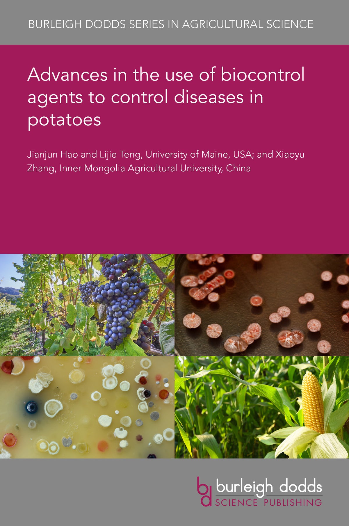 Cover image for Advances in the use of biocontrol agents to control diseases in potatoes ISBN 9781835454619