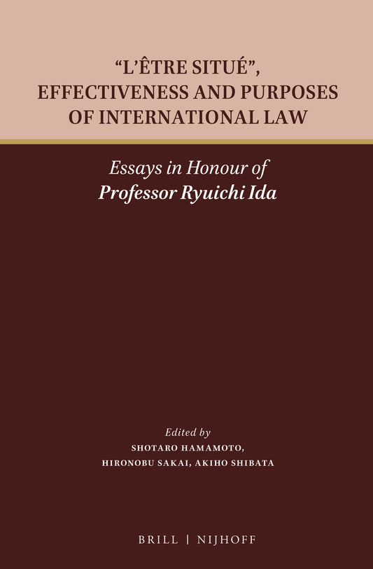 "L’être situé", Effectiveness and Purposes of International Law