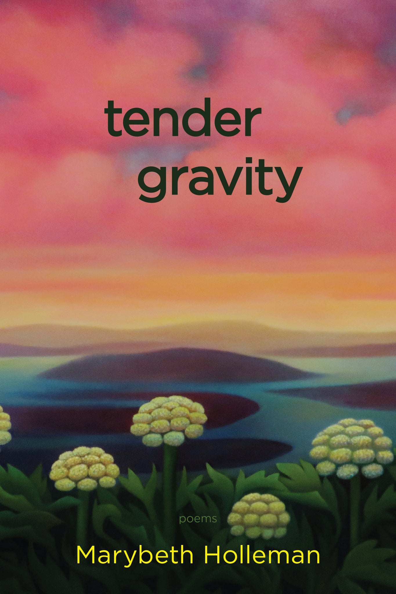 Cover image for tender gravity ISBN 9781597099523