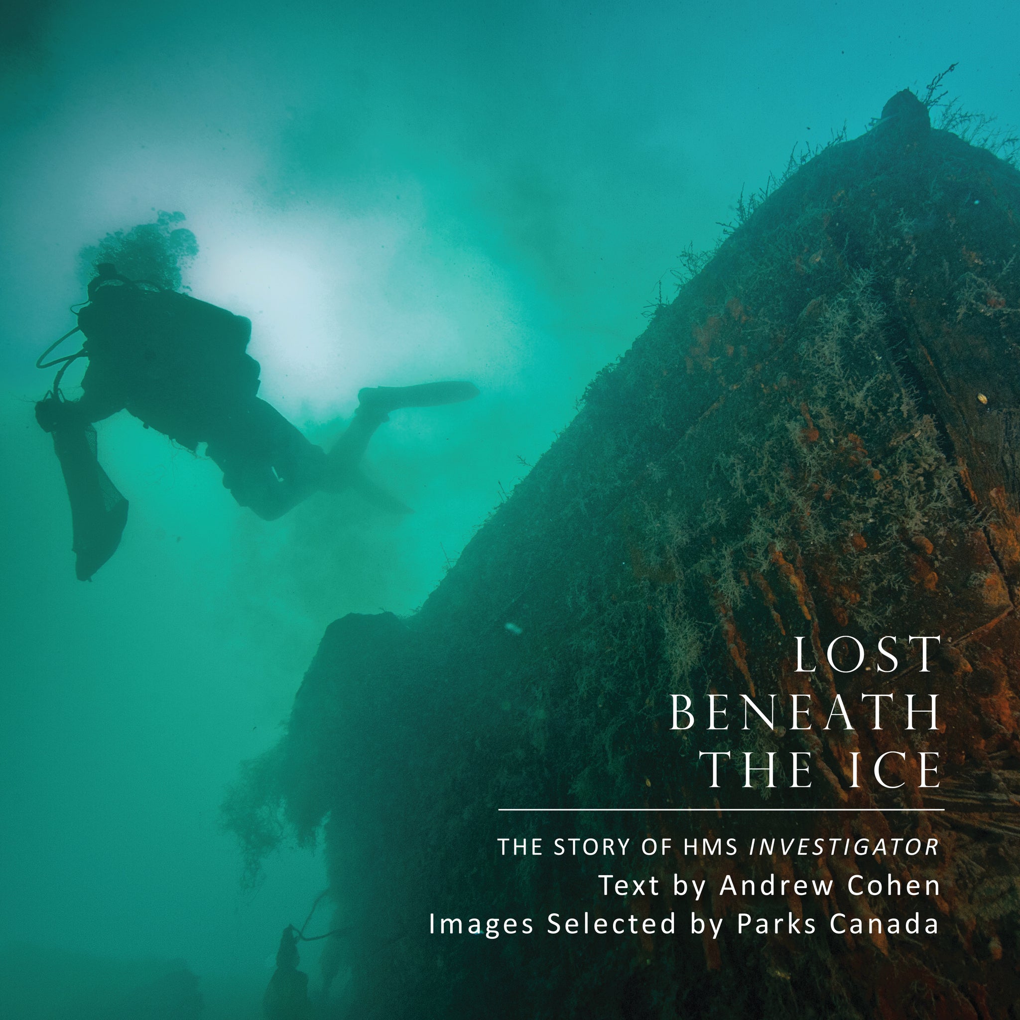 Cover image for Lost Beneath the Ice ISBN 9781459719491