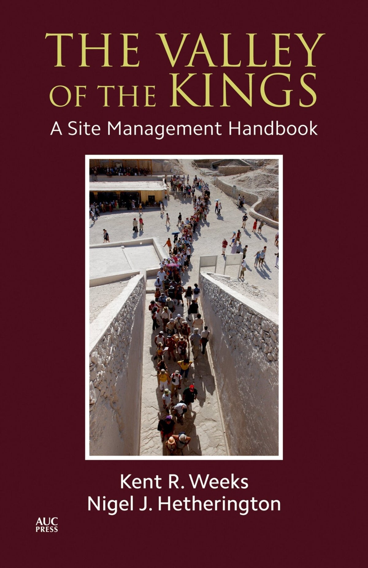 Cover image for The Valley of the Kings: ISBN 9781617975721