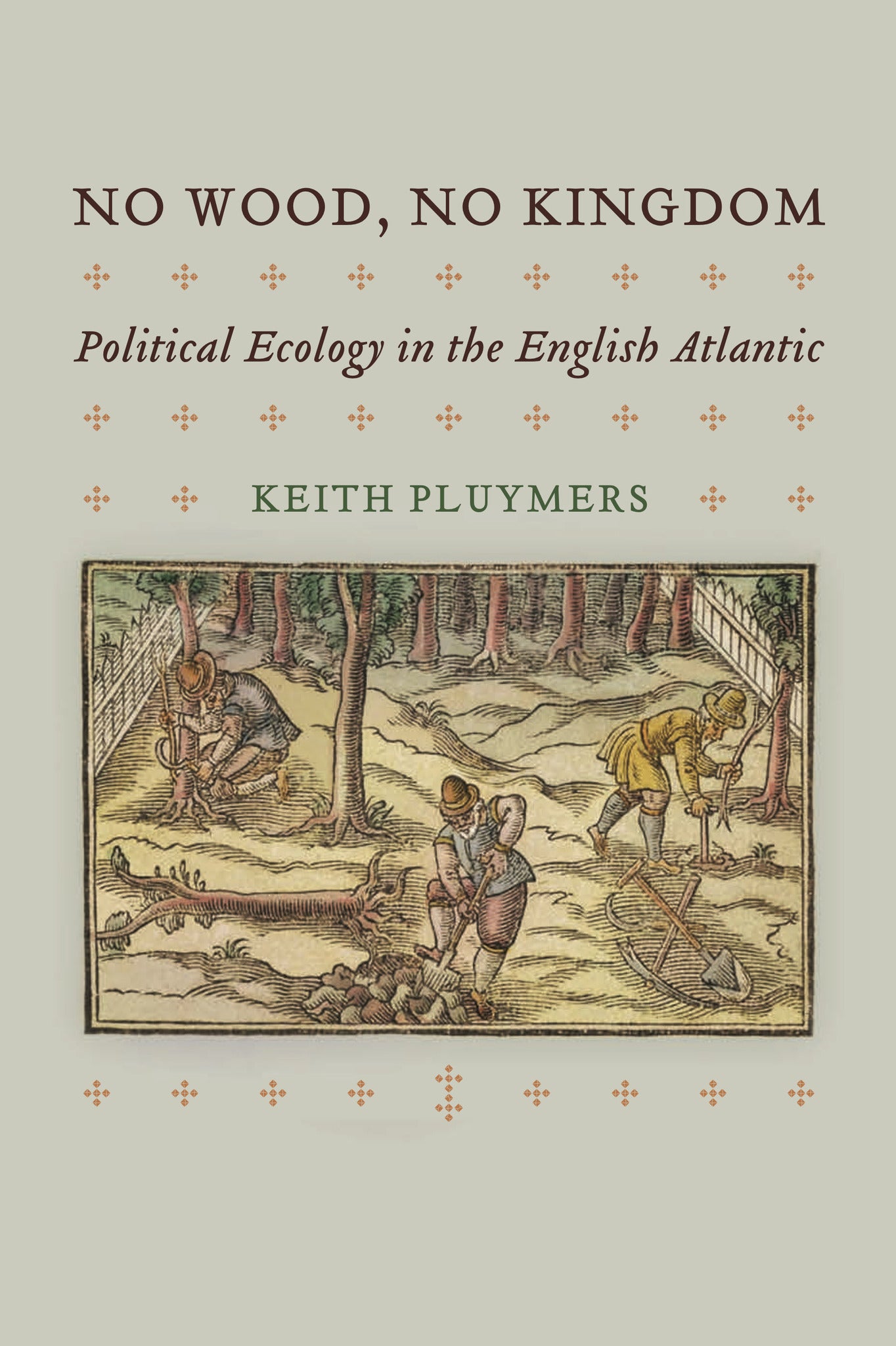 Cover image for No Wood, No Kingdom ISBN 9780812299557