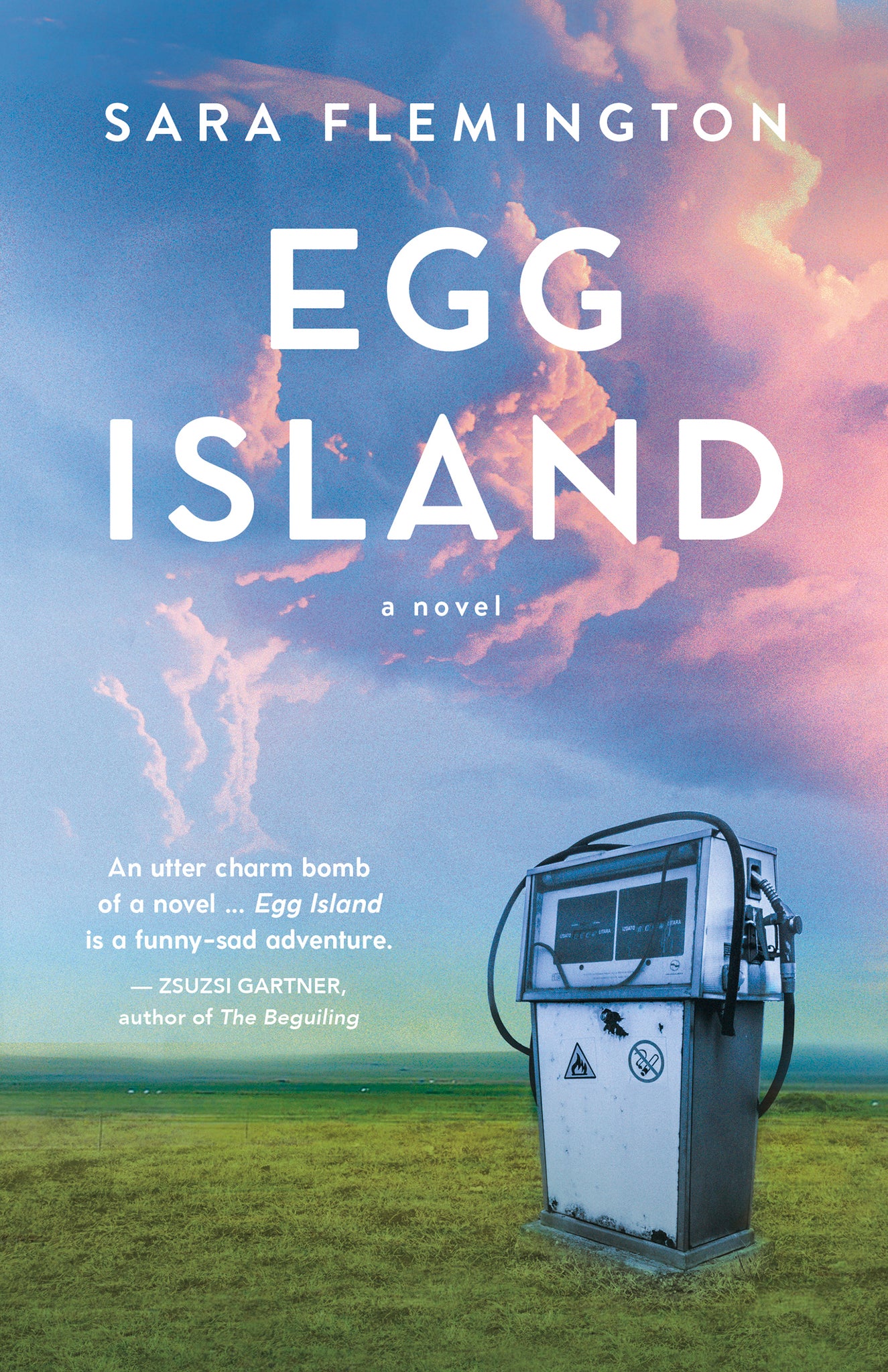 Cover image for Egg Island ISBN 9781459749351
