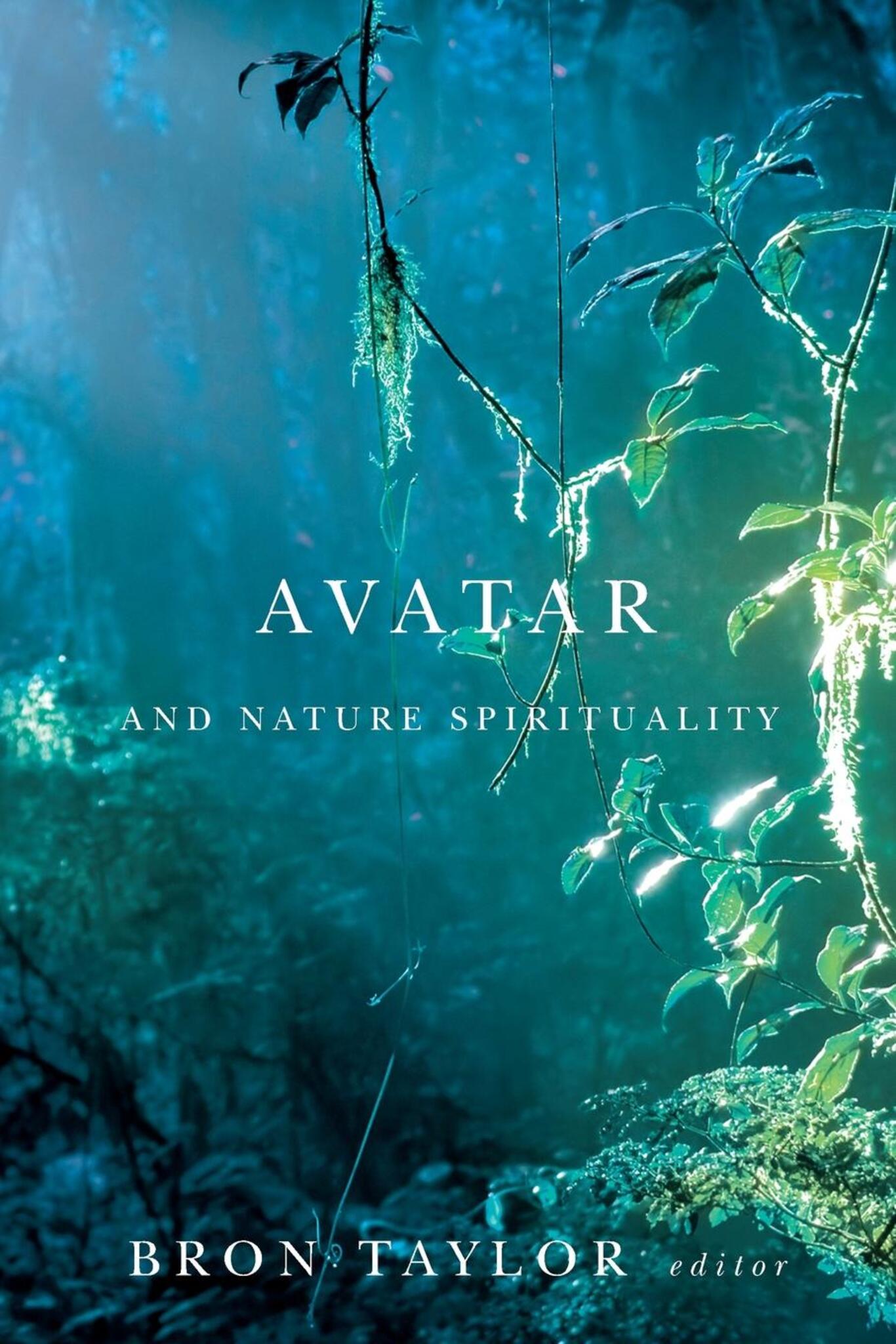 Cover image for Avatar and Nature Spirituality ISBN 9781554588435