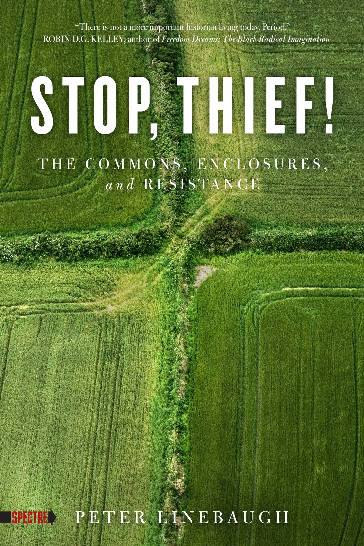 Cover image for Stop, Thief! ISBN 9781604867473