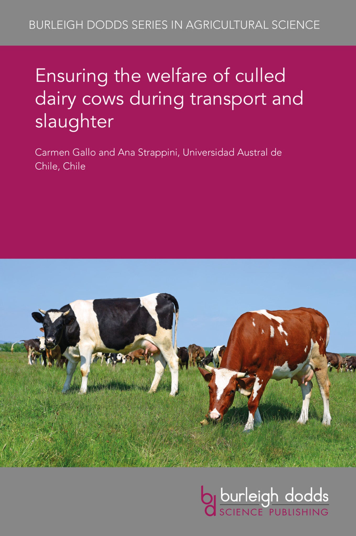 Cover image for Ensuring the welfare of culled dairy cows during transport and slaughter ISBN 9781838791629