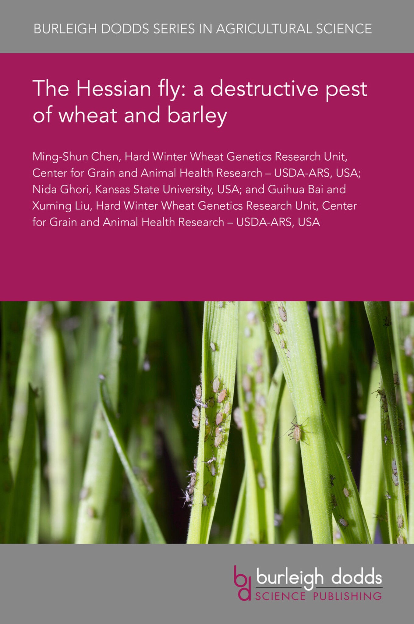 Cover image for The Hessian fly: a destructive pest of wheat and barley ISBN 9781801468473