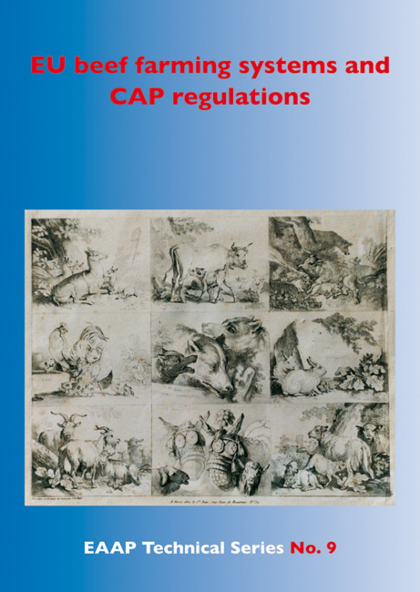 EU beef farming systems and CAP regulations