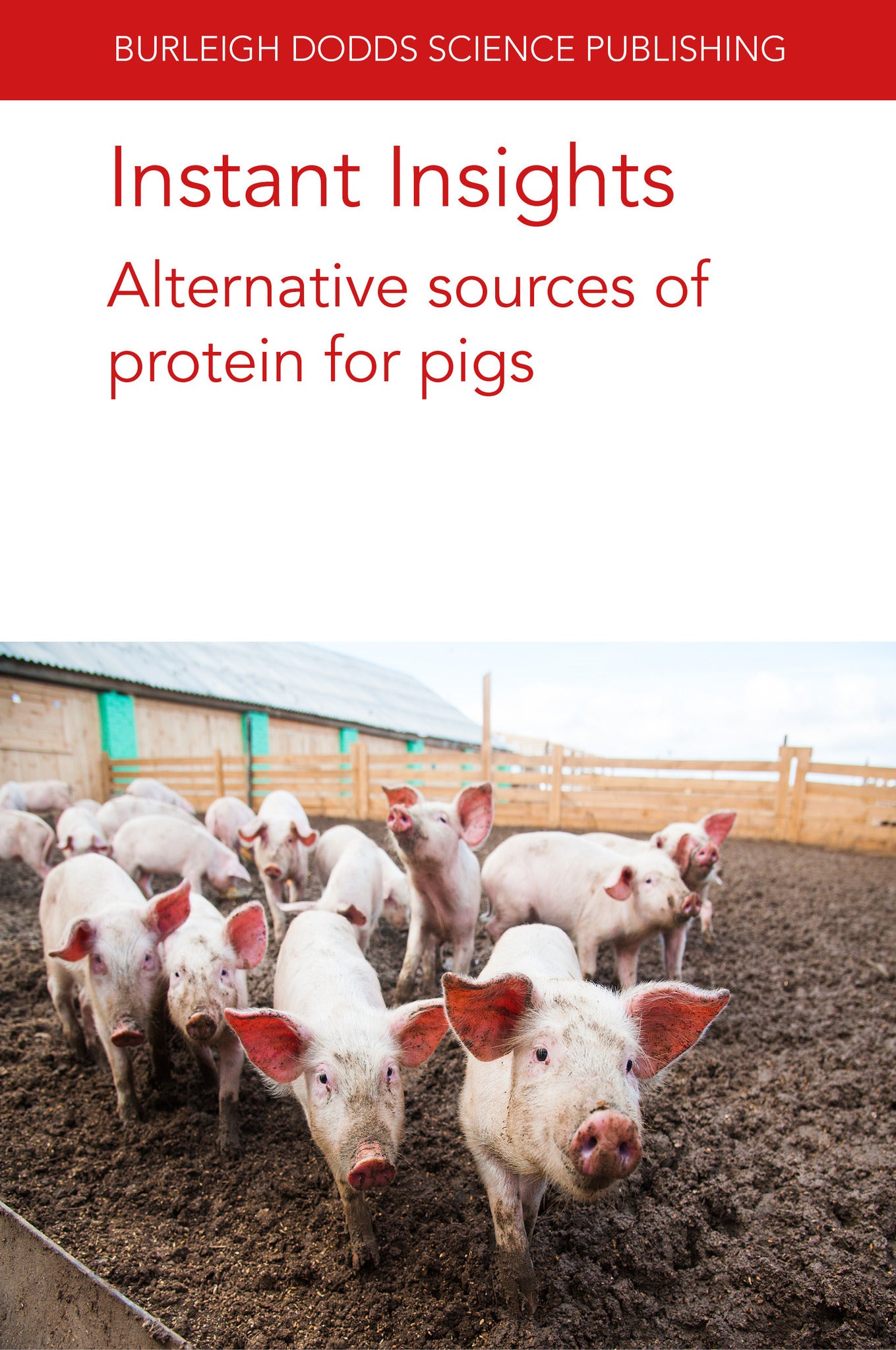 Cover image for Instant Insights: Alternative sources of protein for pigs ISBN 9781835450130
