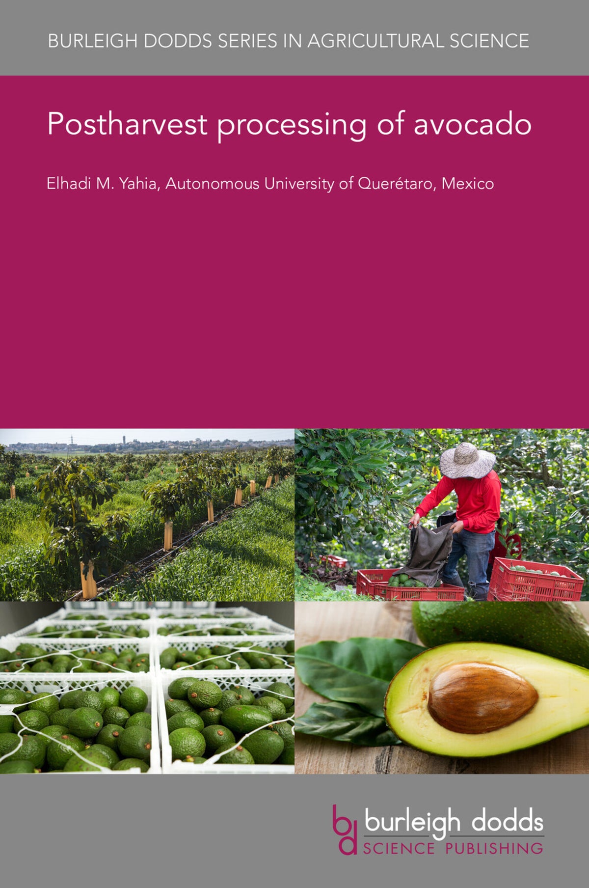 Cover image for Postharvest processing of avocado ISBN 9781801468282