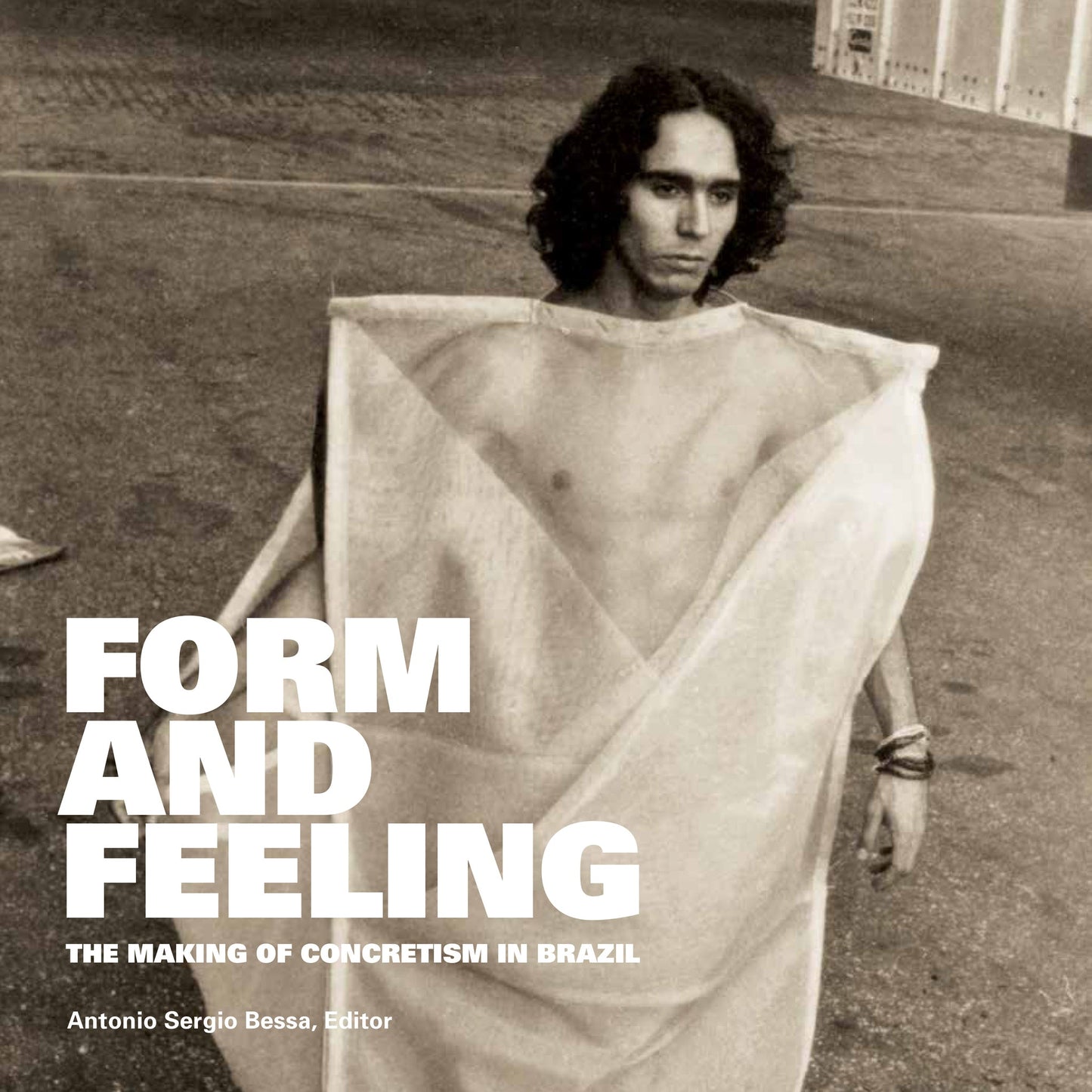 Cover image for Form and Feeling ISBN 9780823289103