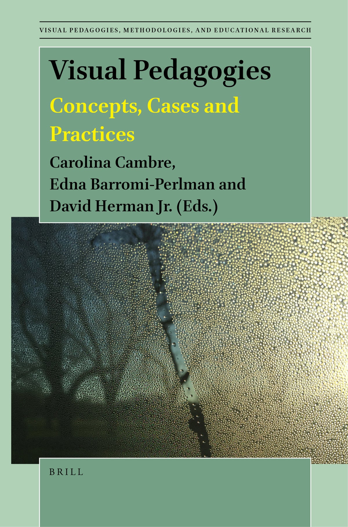 Cover image for Visual Pedagogies ISBN 9789004529830