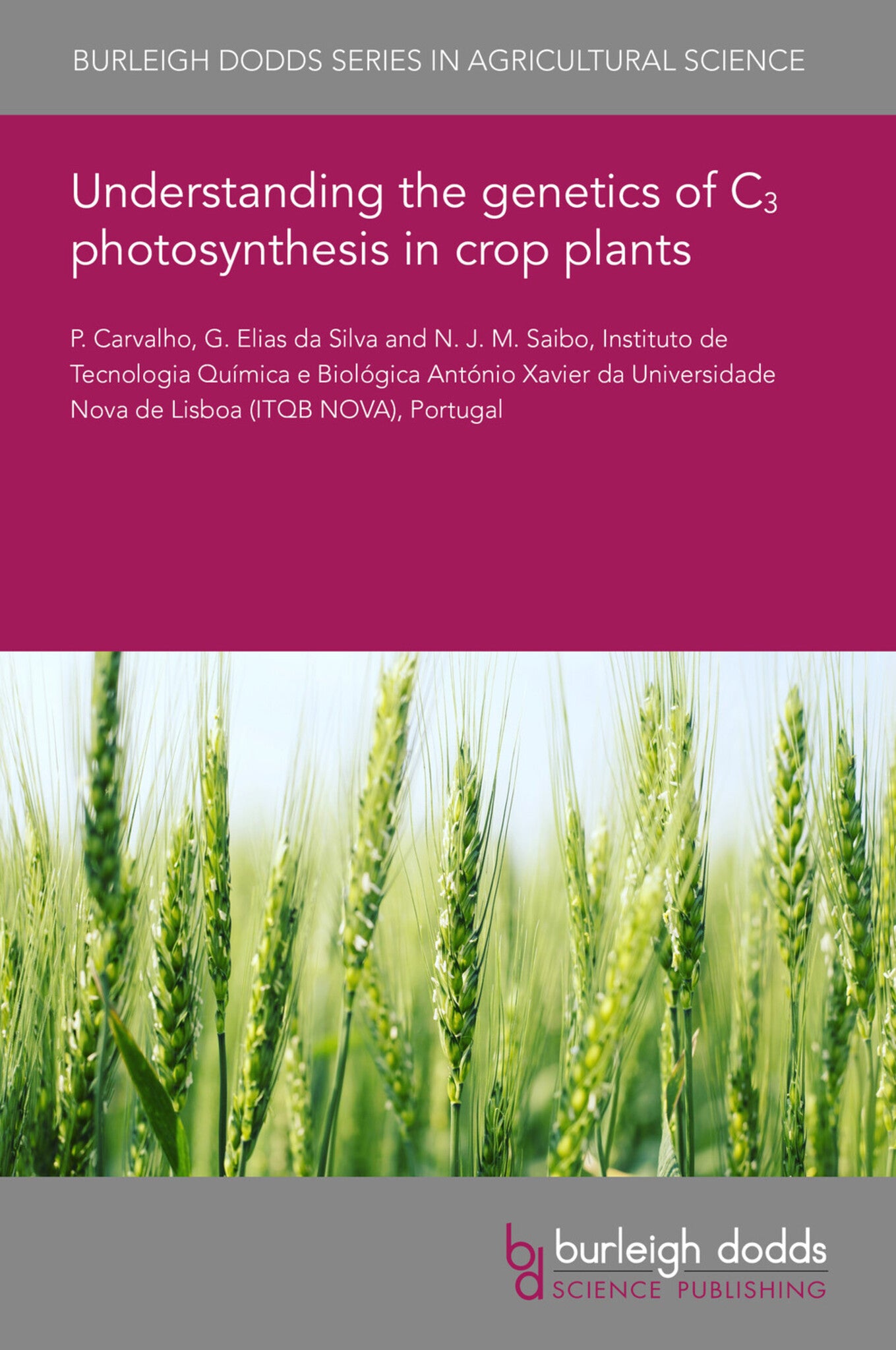 Cover image for Understanding the genetics of C₃ photosynthesis in crop plants ISBN 9781801467612