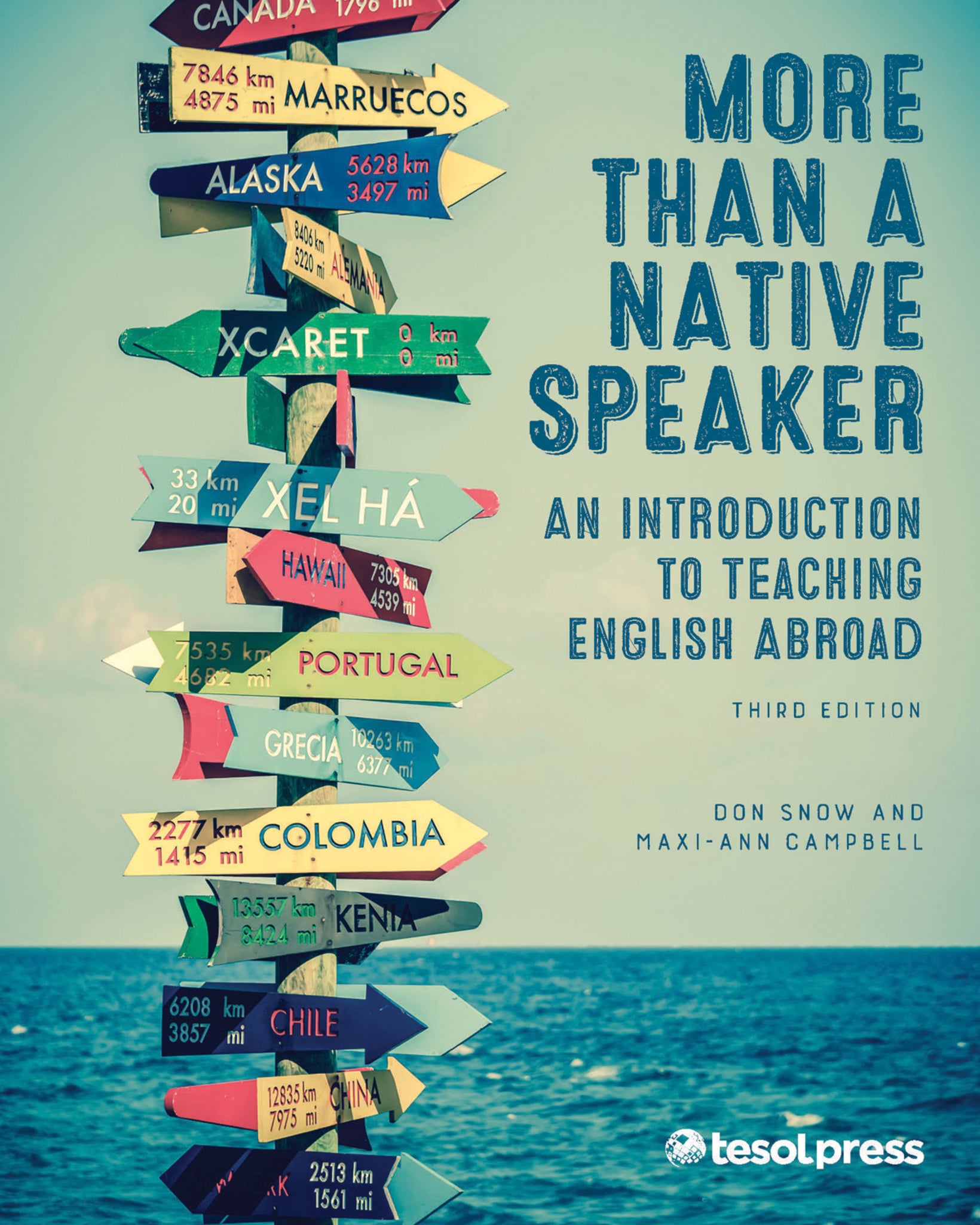 Cover image for More Than a Native Speaker, Third Edition ISBN 9781942799160