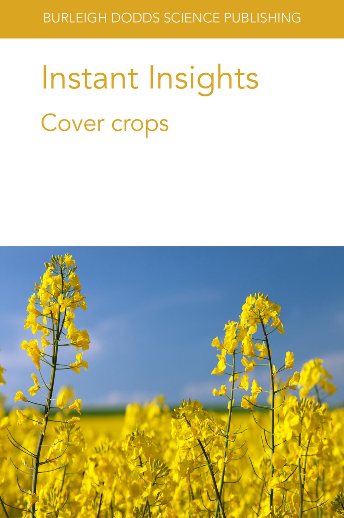 Cover image for Instant Insights: Cover crops ISBN 9781801460620