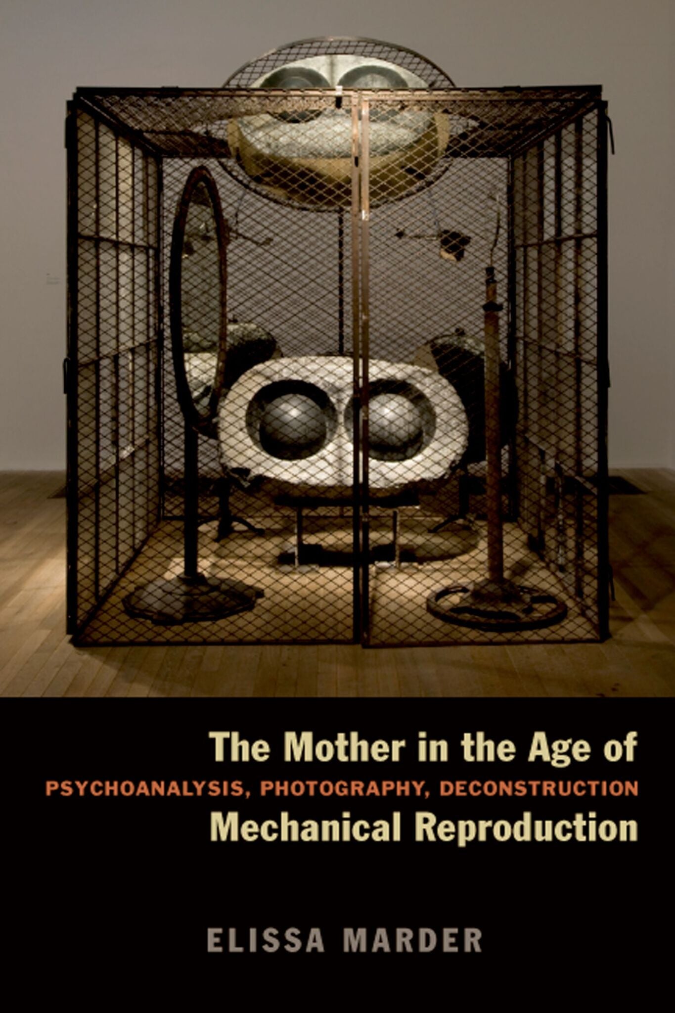 The Mother in the Age of Mechanical Reproduction