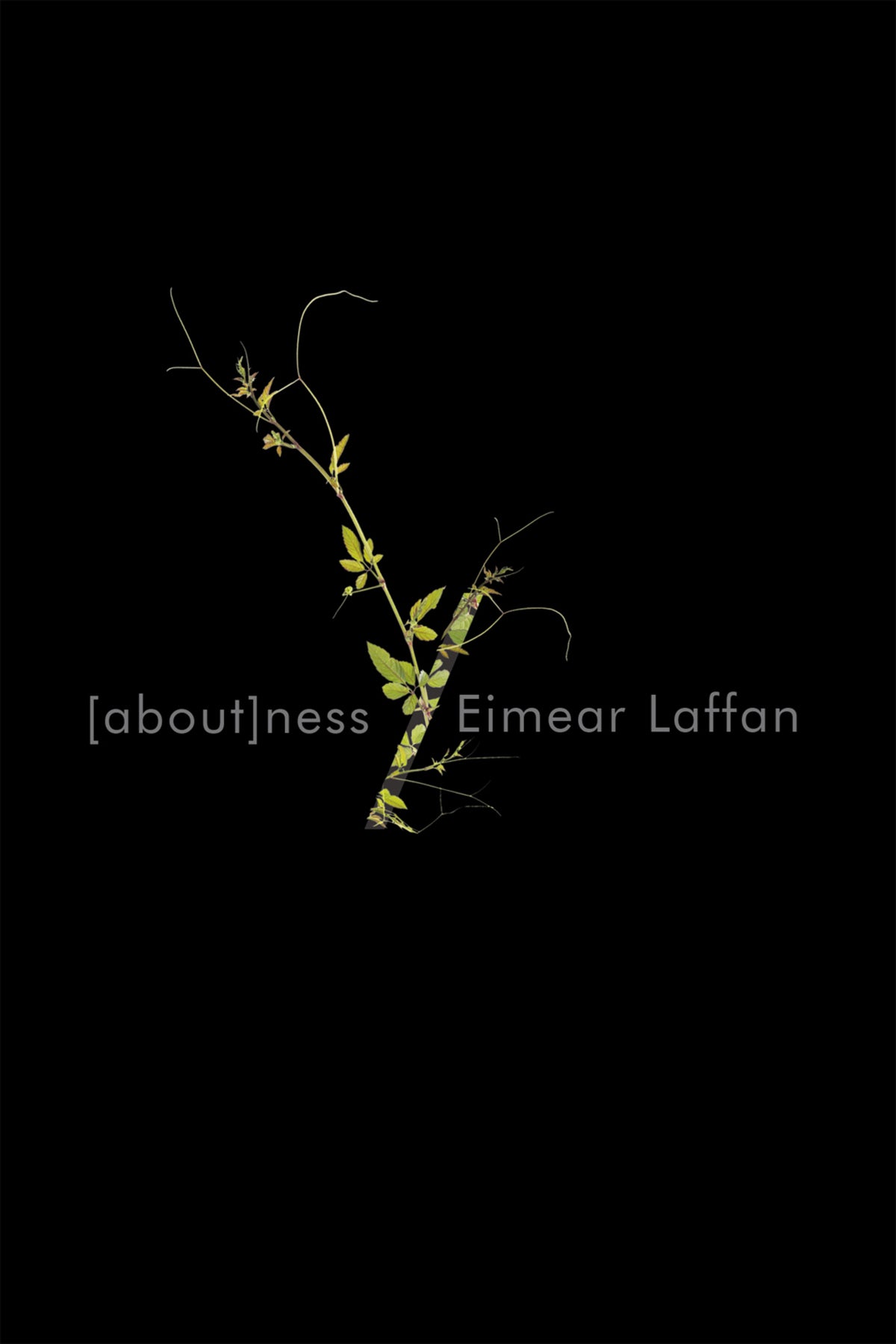 Cover image for aboutness ISBN 9780228019718