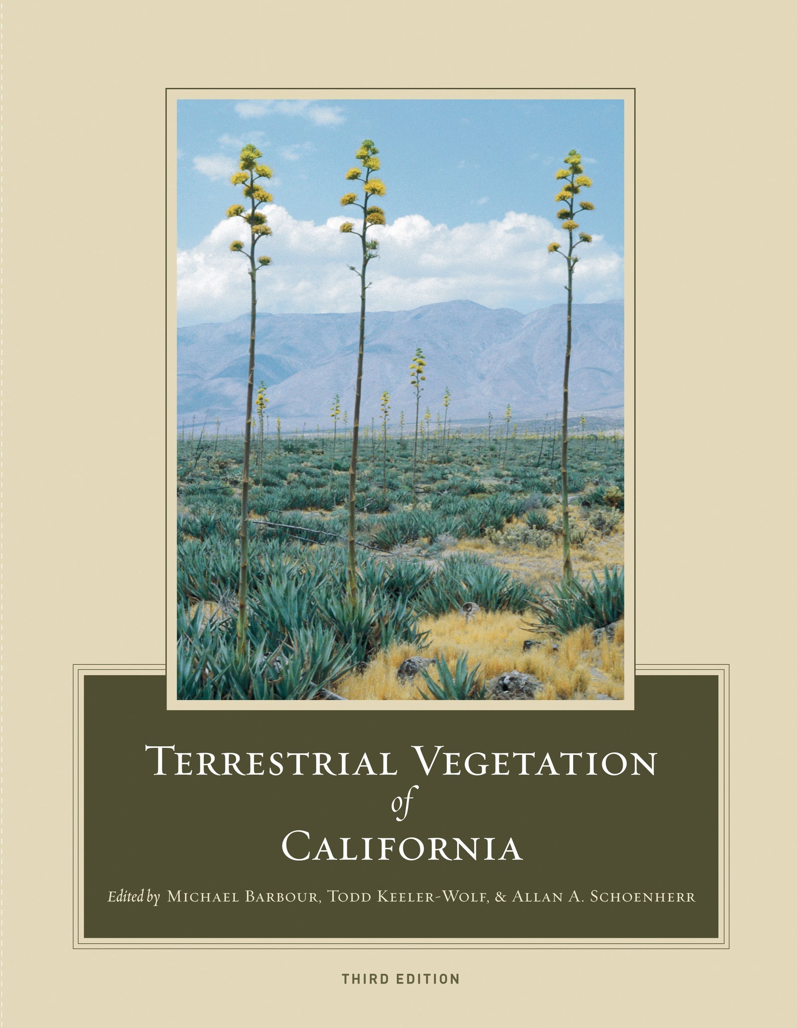 Cover image for Terrestrial Vegetation of California, 3rd Edition ISBN 9780520933361