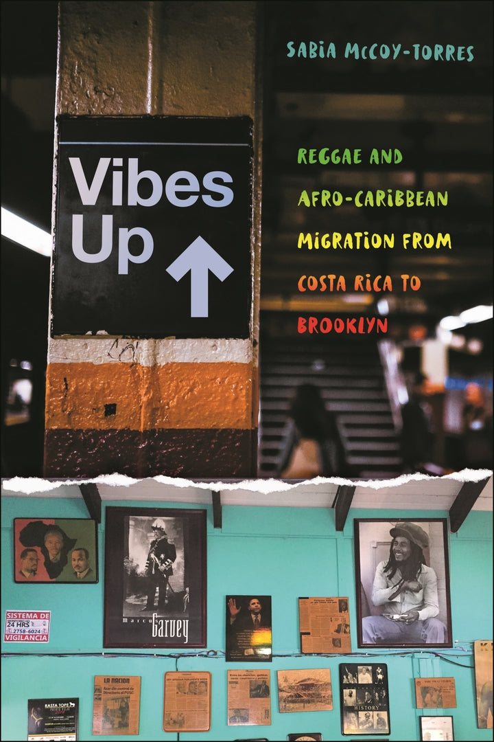 Cover image for Vibes Up ISBN 9781479827114