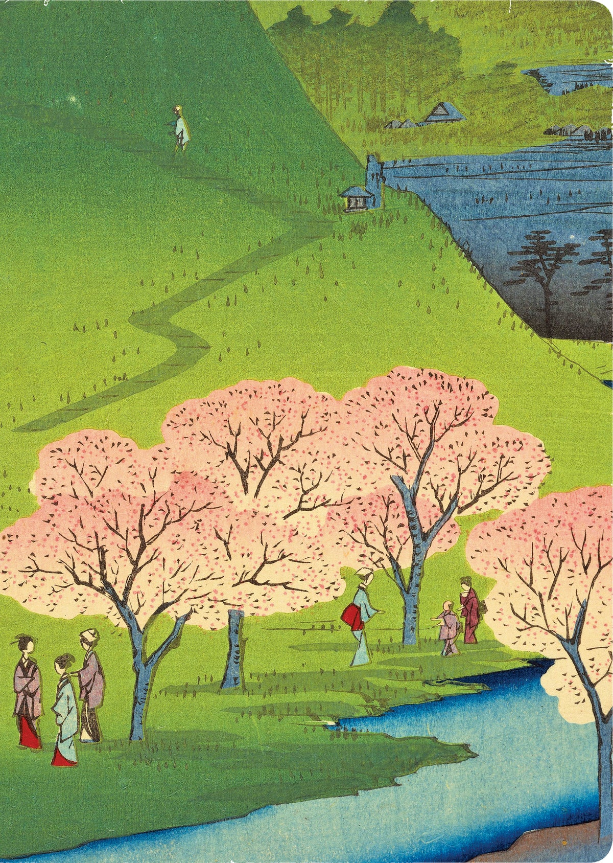 Cover image for Hiroshige Cherry Blossoms Lined Hardcover Journal ISBN 9780804855631