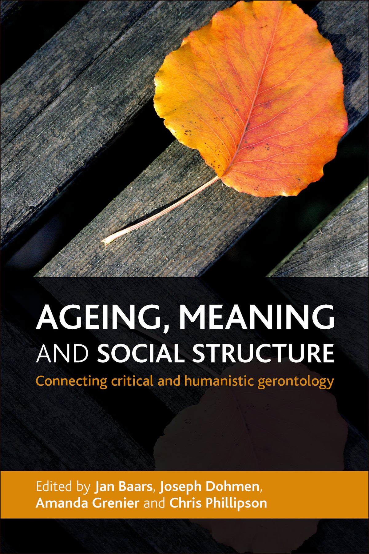 Cover image for Ageing, Meaning and Social Structure ISBN 9781447300892