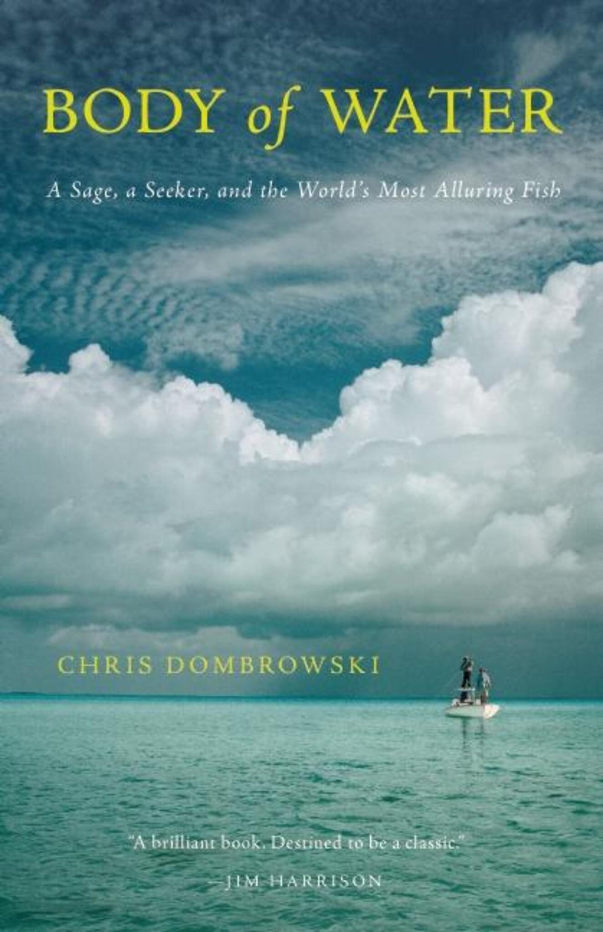 Cover image for Body of Water ISBN 9781571313645