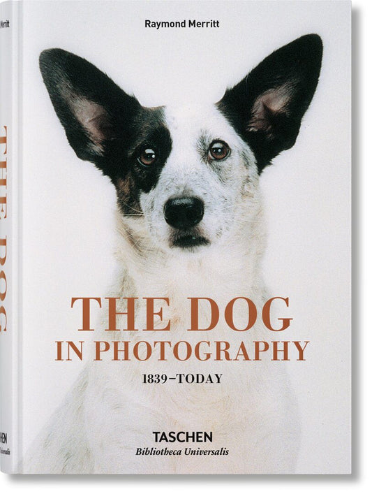 The Dog in Photography 1839–Today