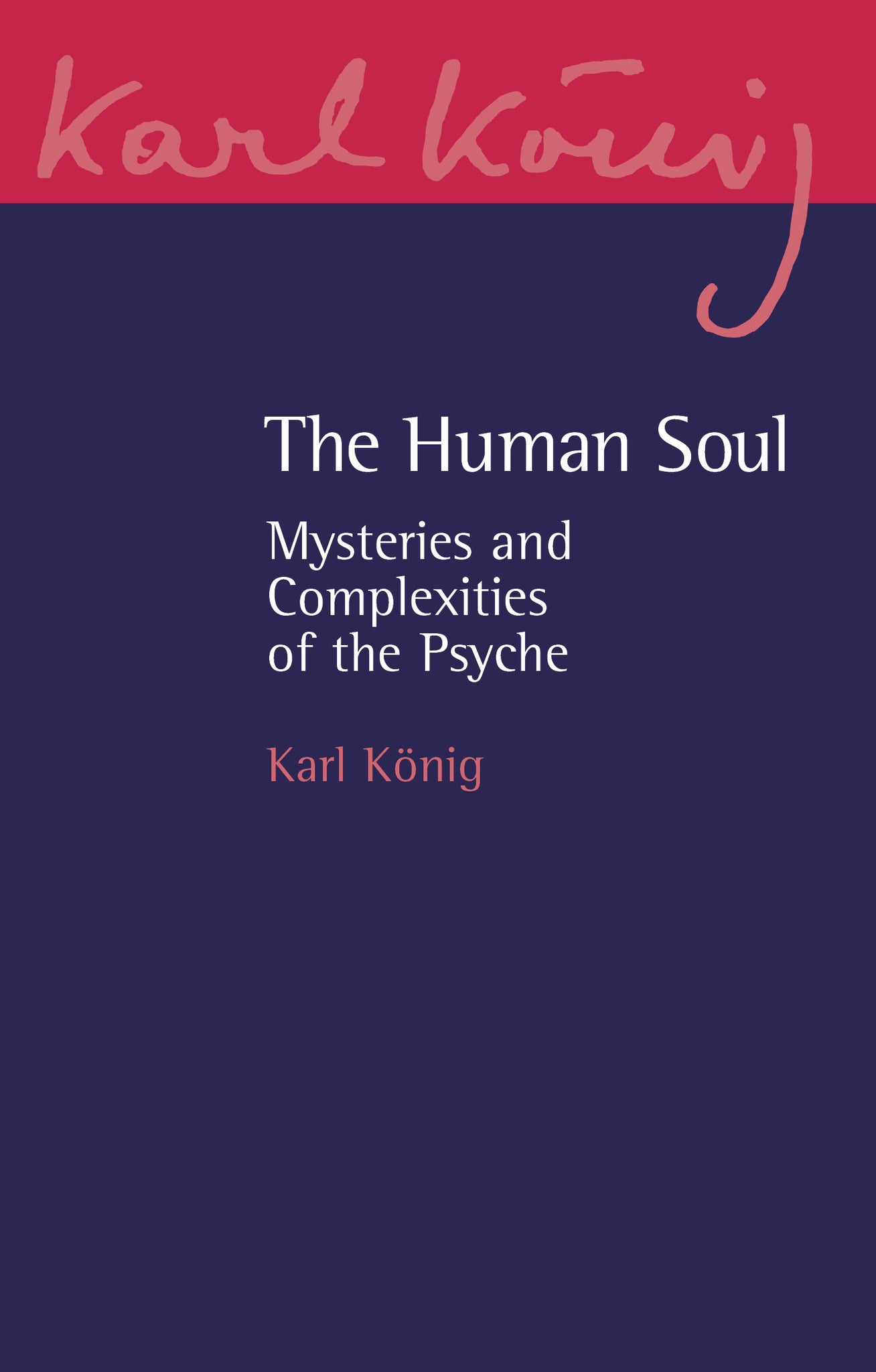 Cover image for The Human Soul ISBN 9781782509653