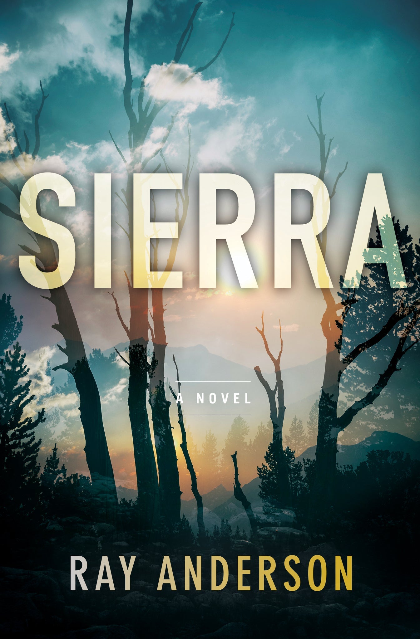 Cover image for Sierra ISBN 9781681626222