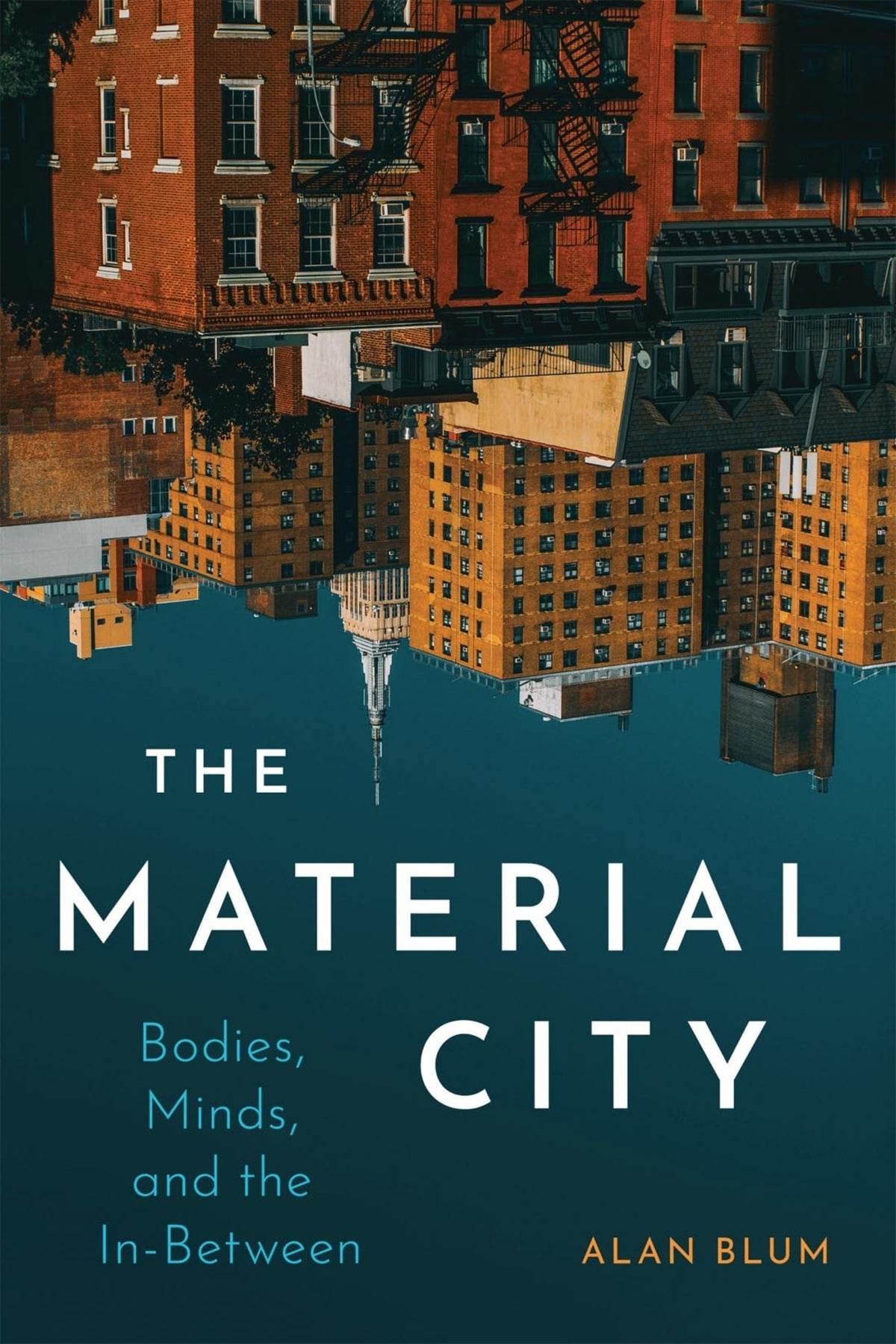 Cover image for The Material City ISBN 9780228016618