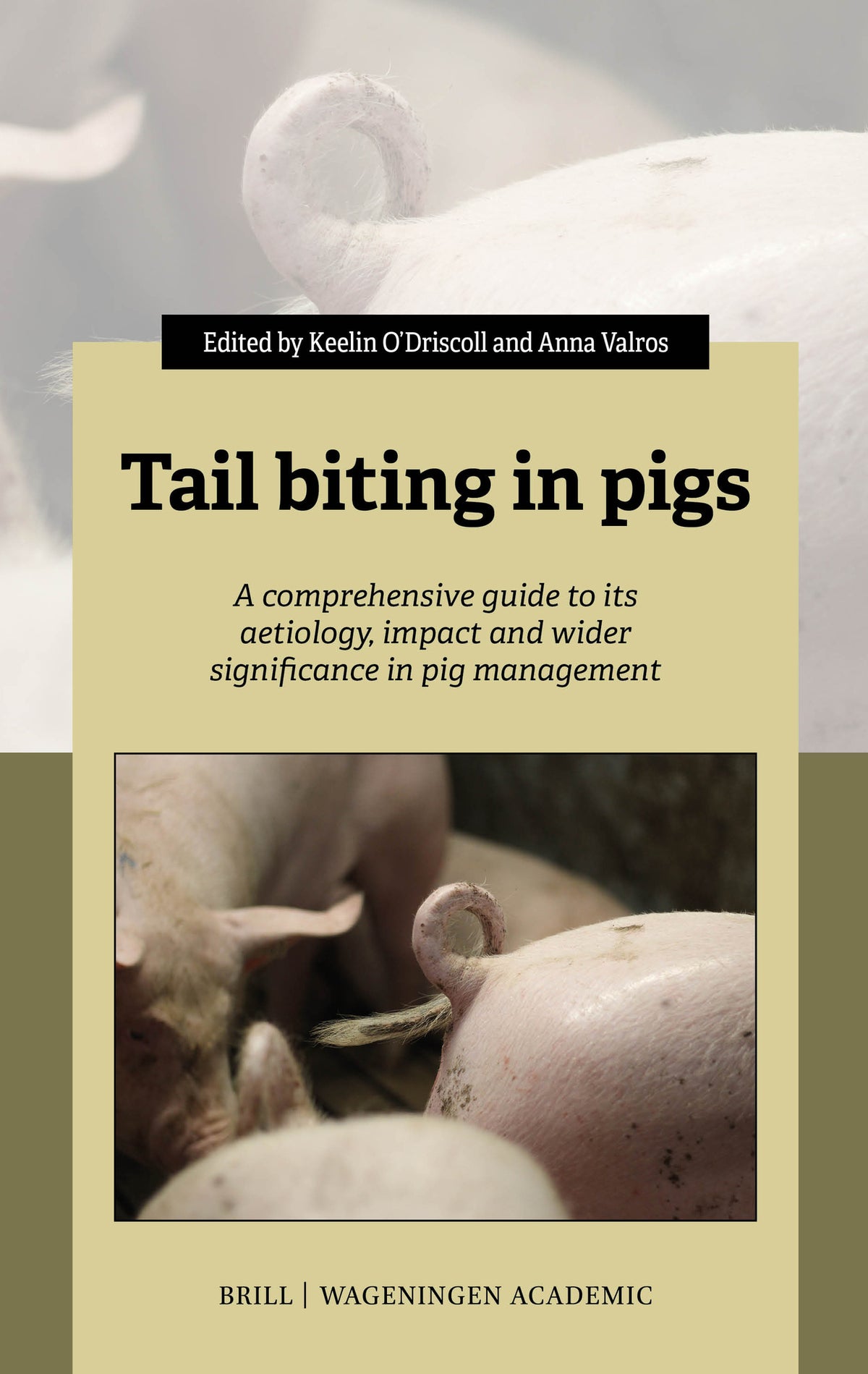 Cover image for Tail biting in pigs ISBN 9789004691346