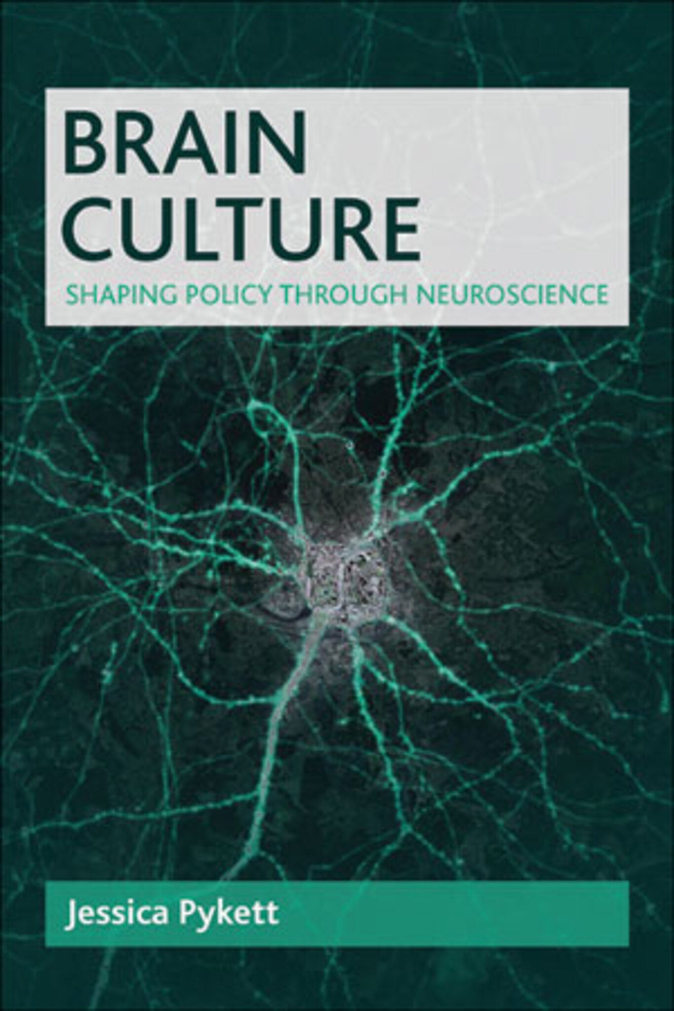 Cover image for Brain Culture ISBN 9781447314059