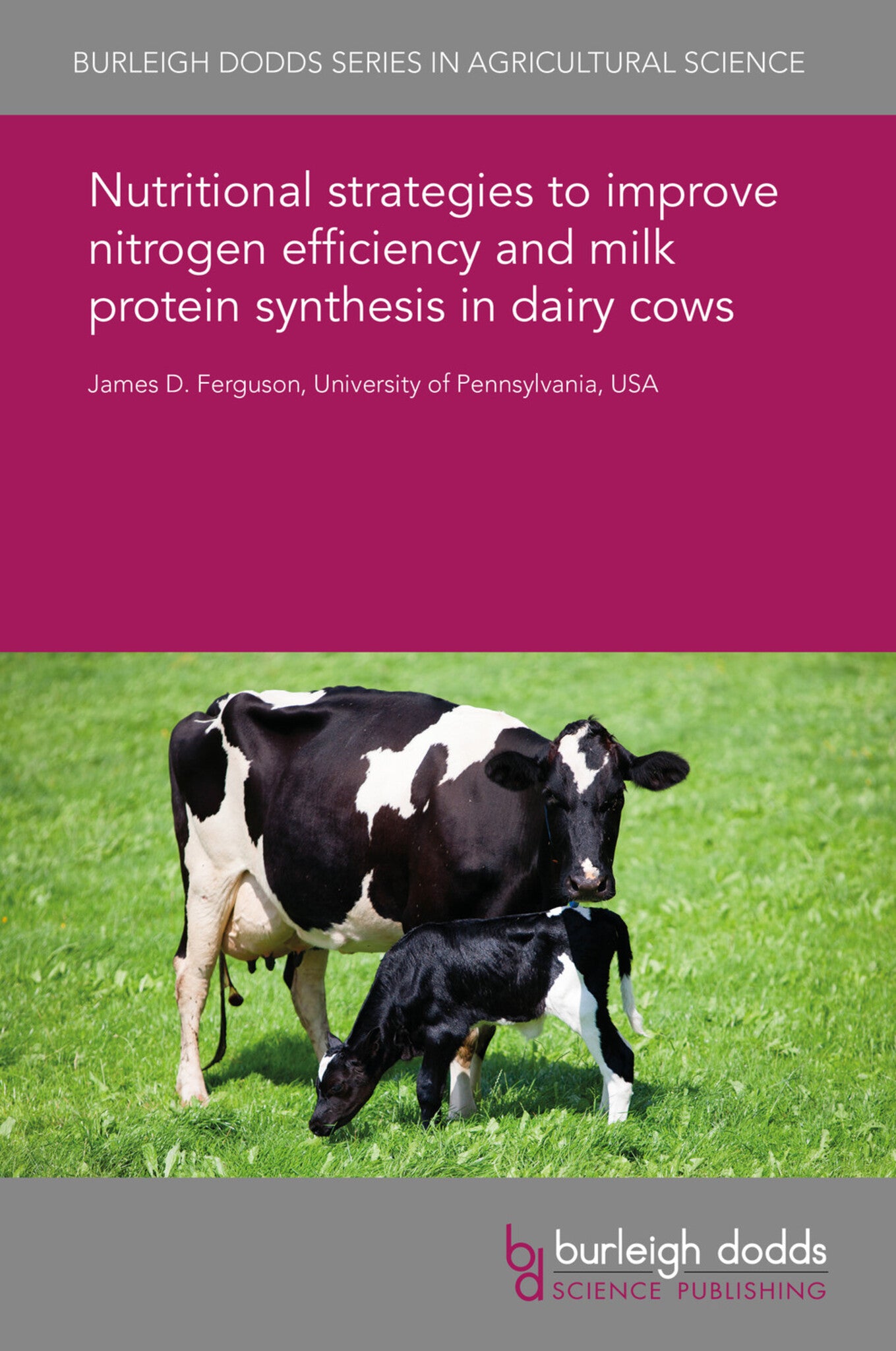 Cover image for Nutritional strategies to improve nitrogen efficiency and milk protein synthesis in dairy cows ISBN 9781838791384