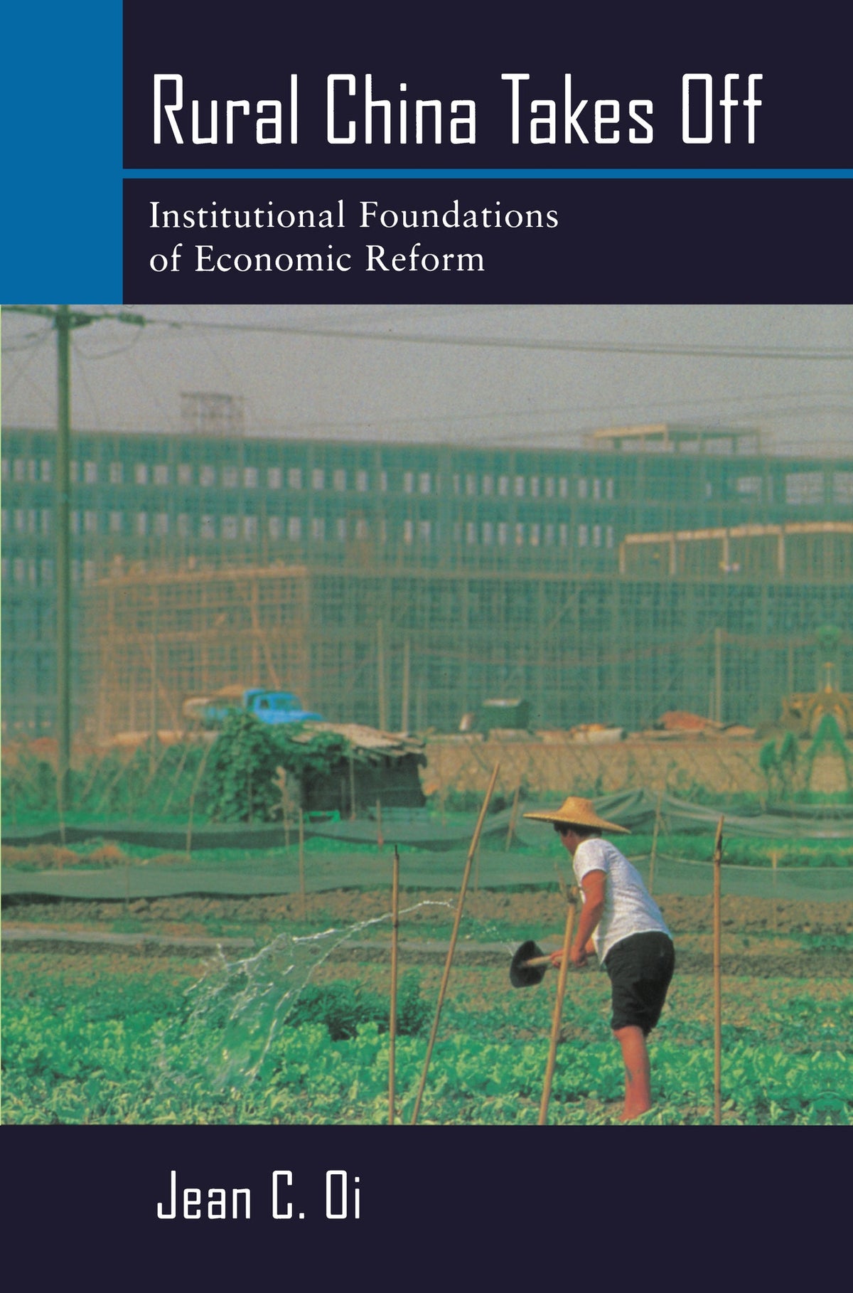 Cover image for Rural China Takes Off ISBN 9780520922402