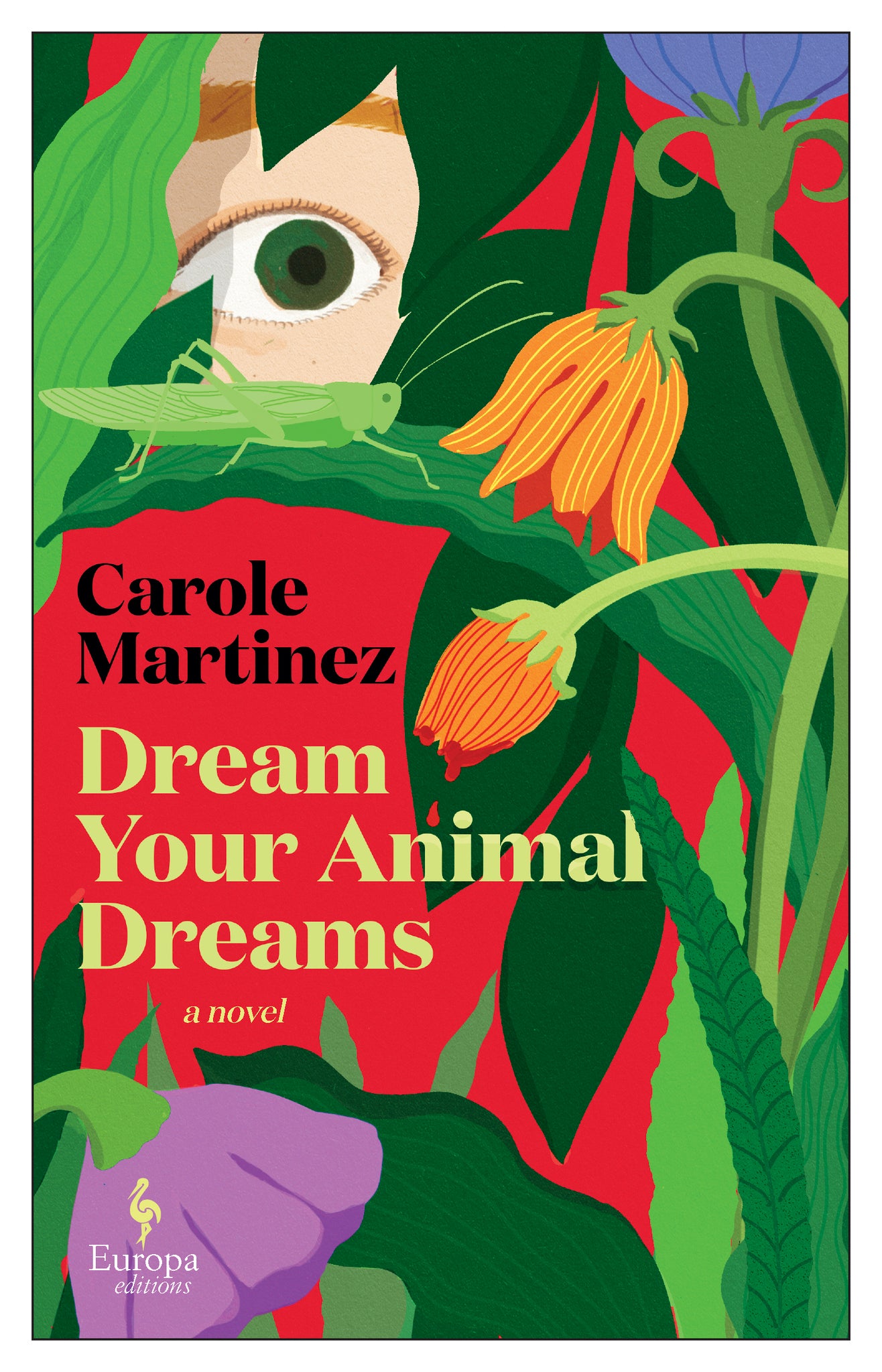 Dream Your Animal Dreams