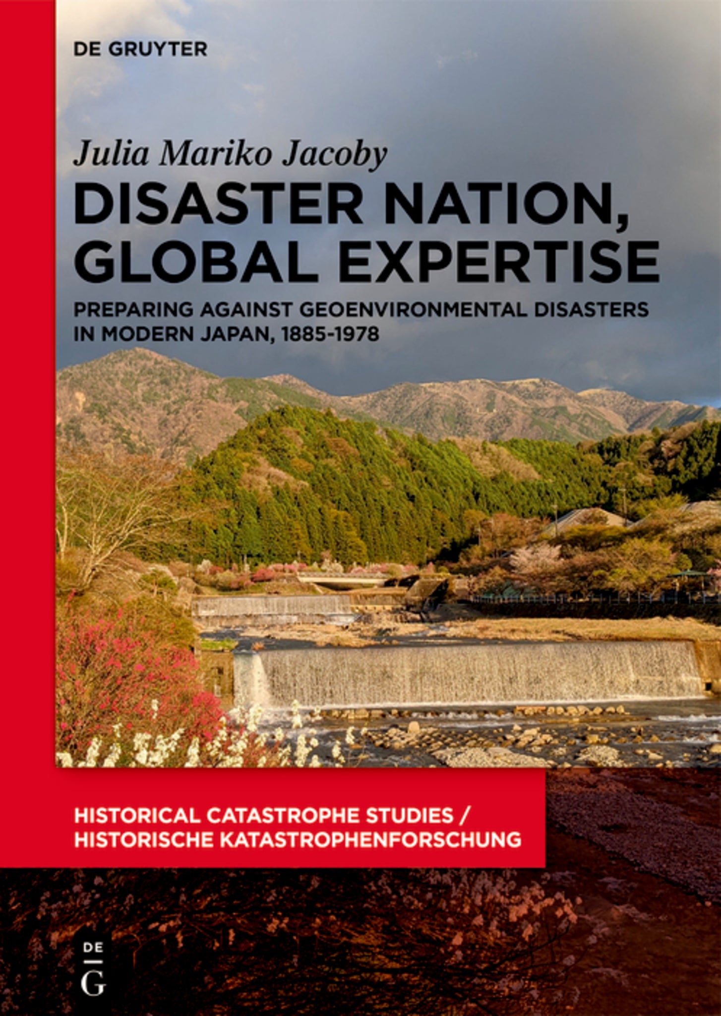Disaster Nation, Global Expertise