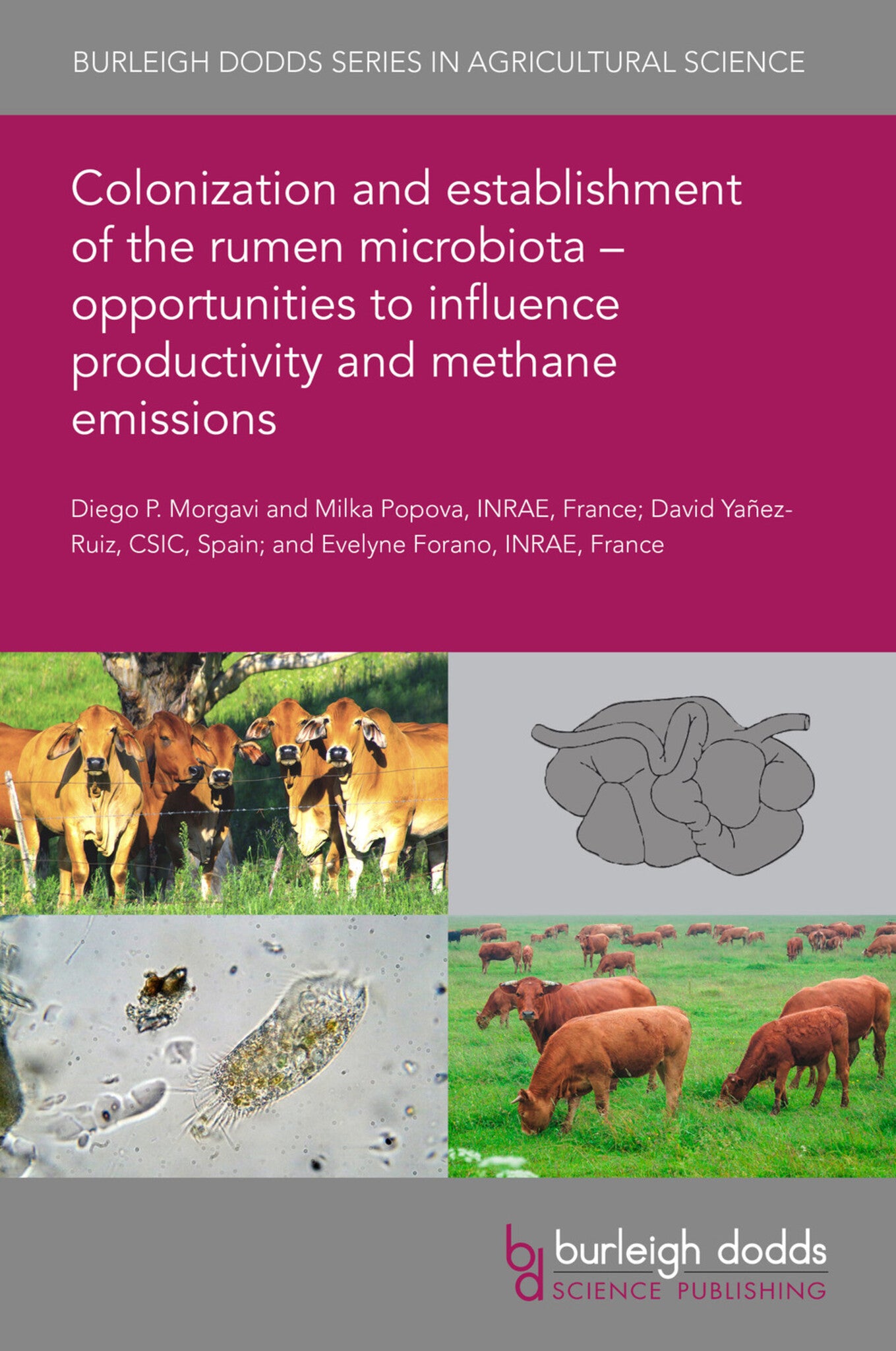 Cover image for Colonization and establishment of the rumen microbiota – opportunities to influence productivity and methane emissions ISBN 9781786767912