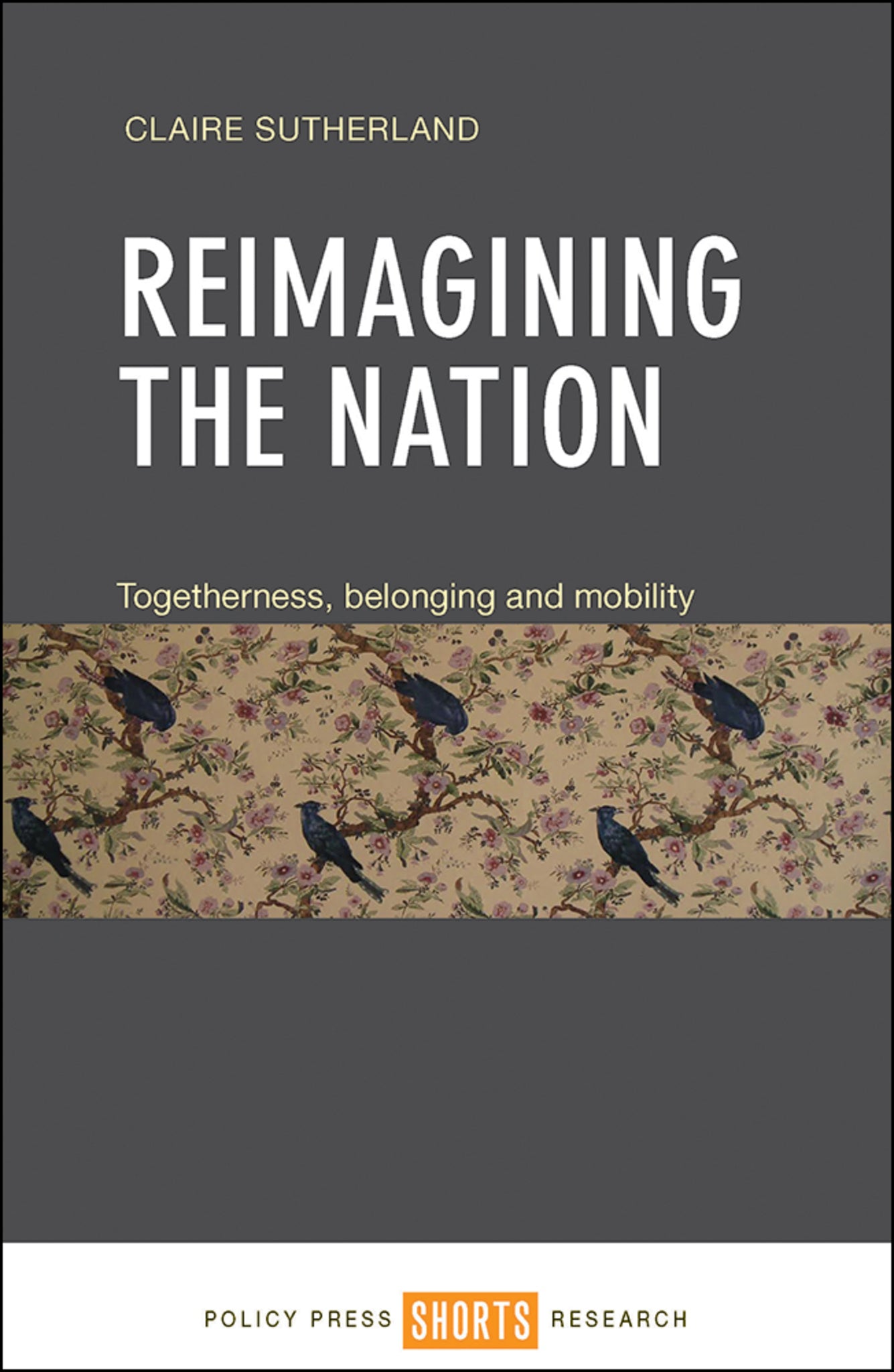 Cover image for Reimagining the Nation ISBN 9781447326281